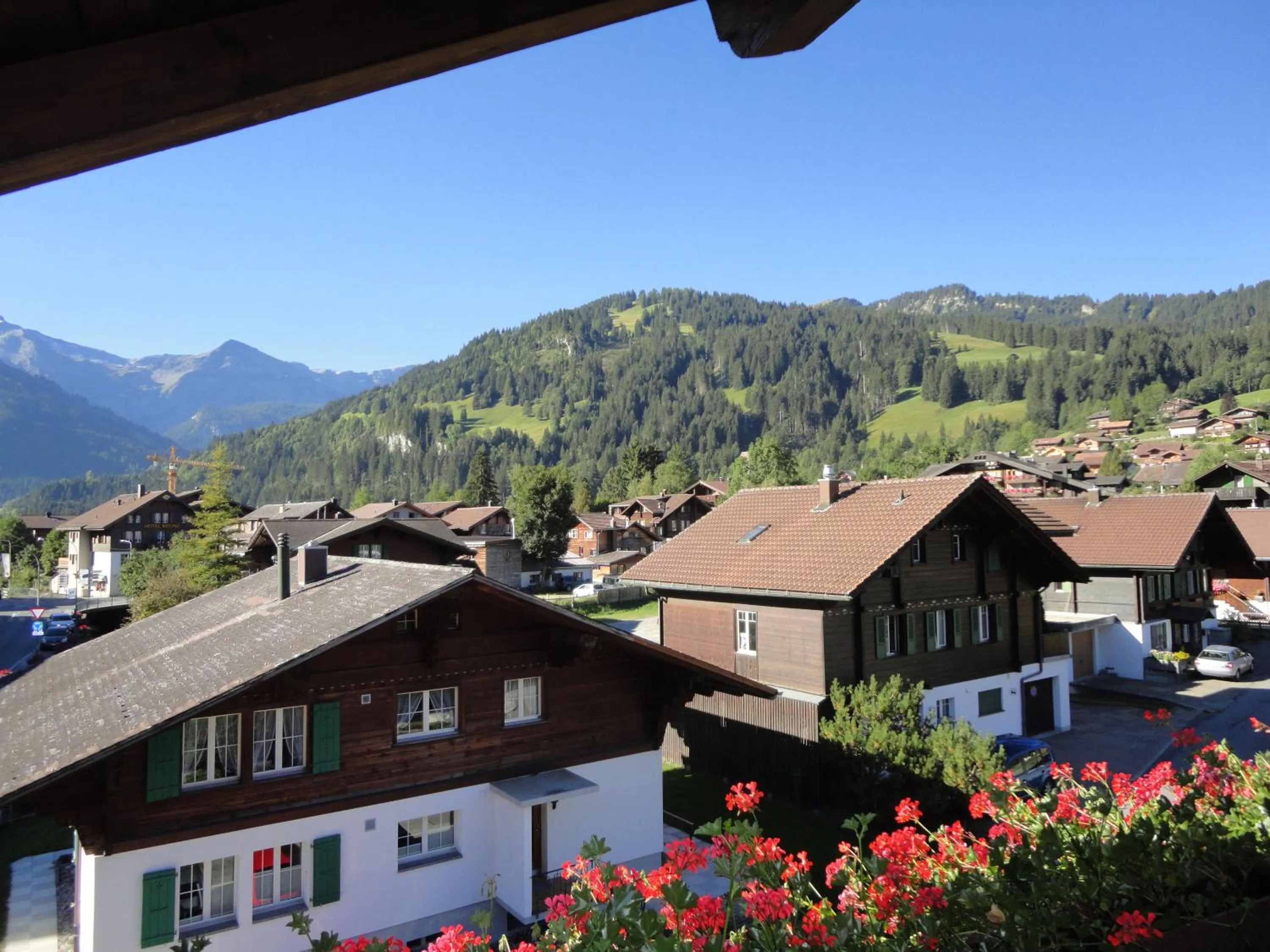 View (from property/room) in Hotel Garni Alpenruh