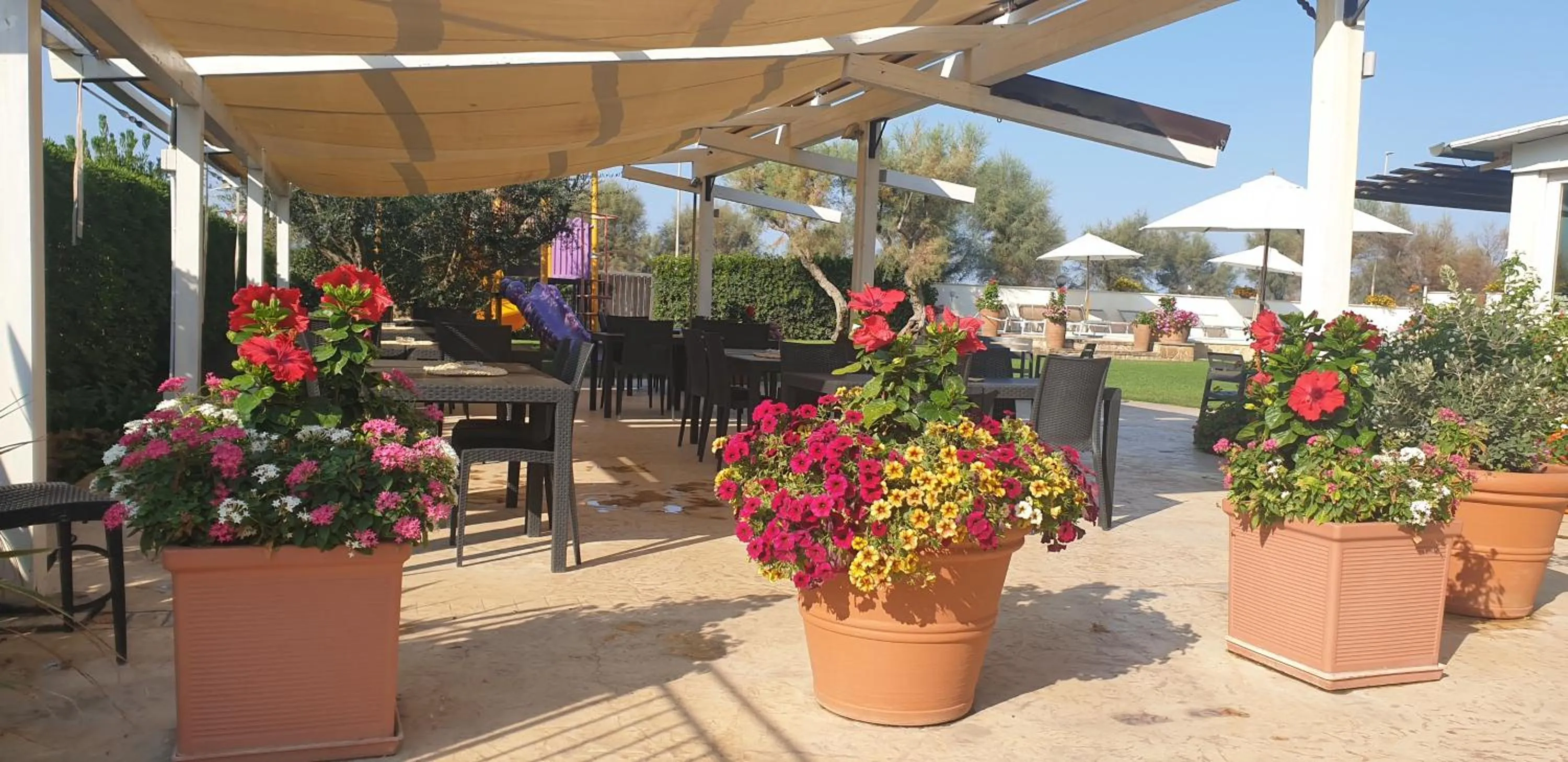 Restaurant/places to eat in Hotel Corallo