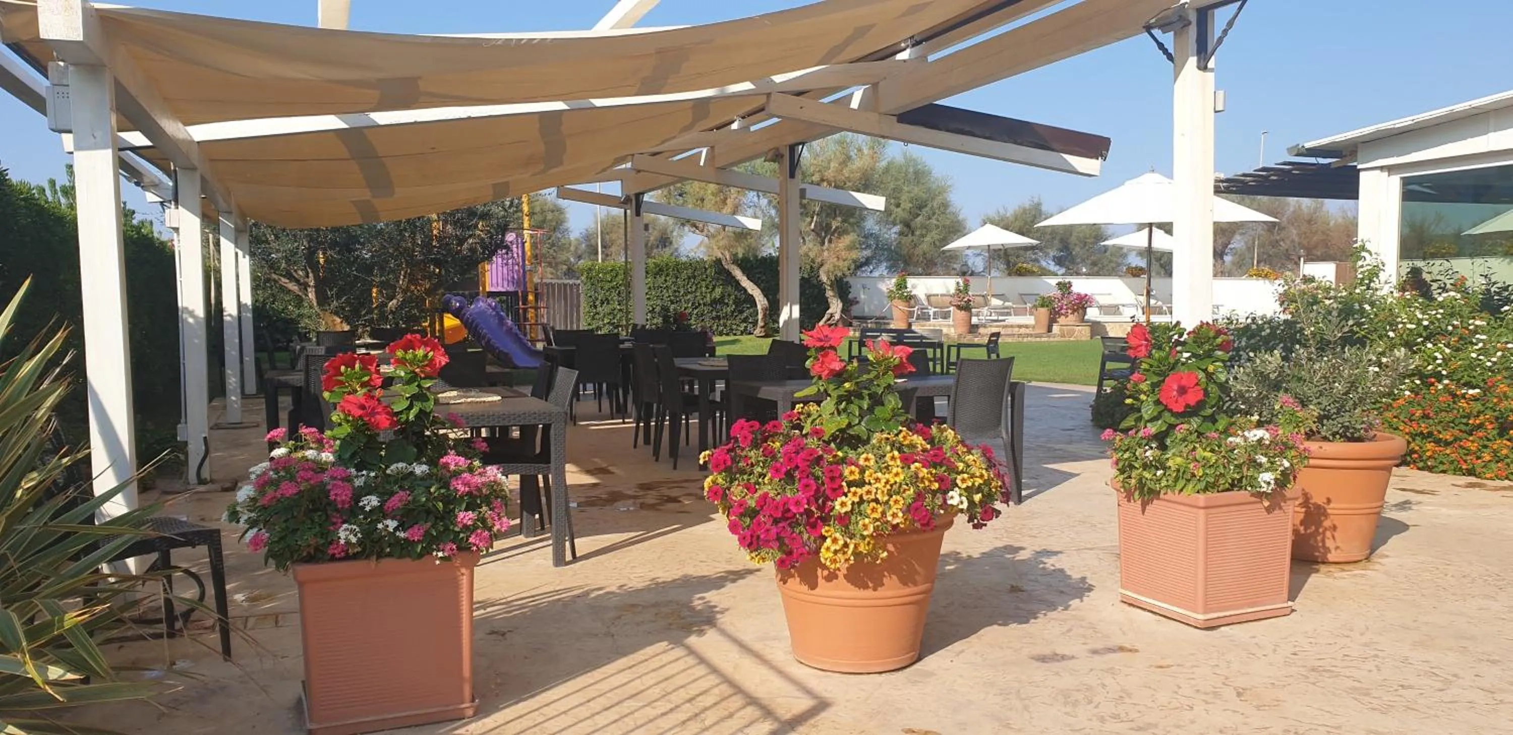 Garden in Hotel Corallo