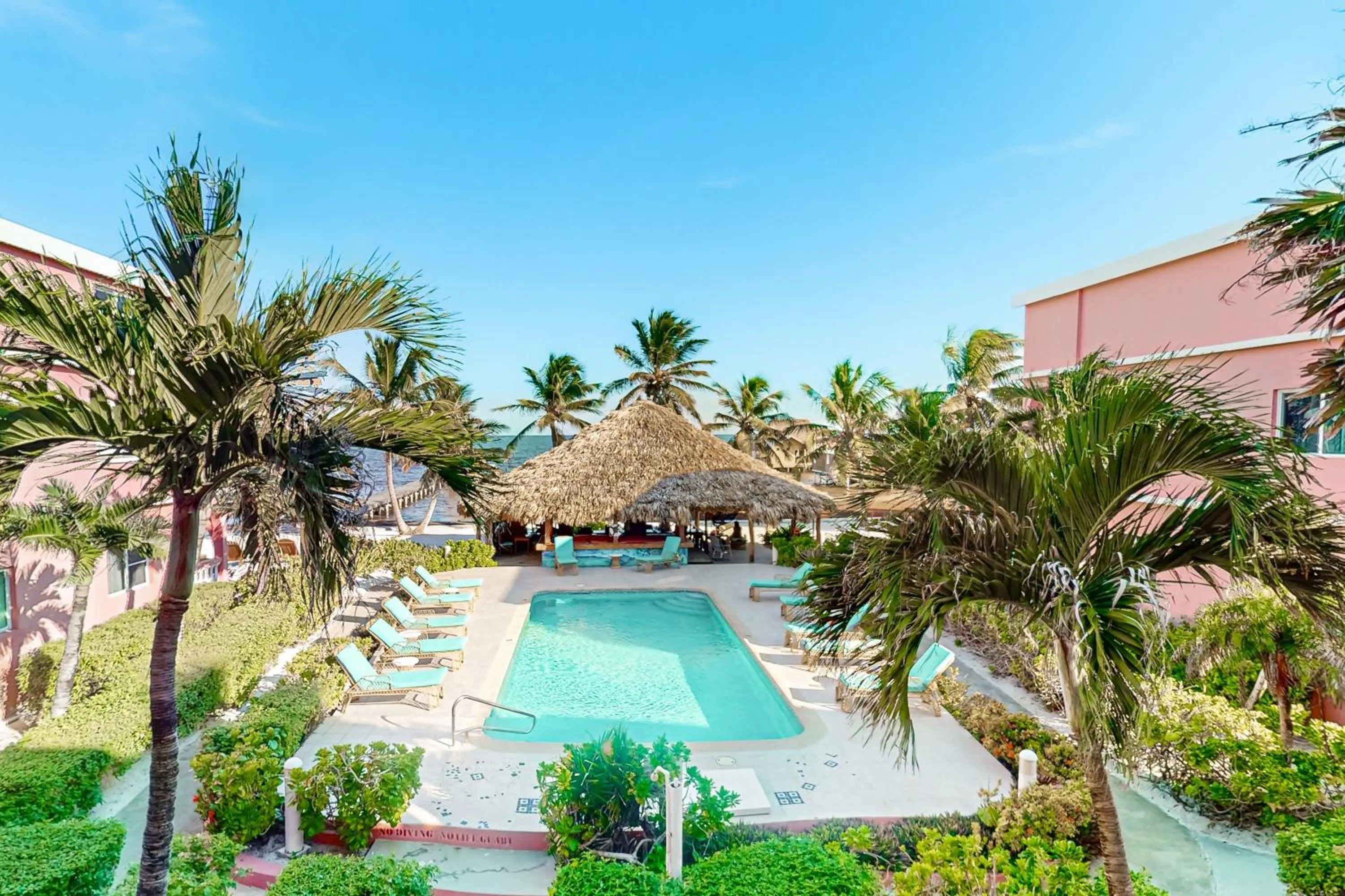 Plumeria @ Caribe Island