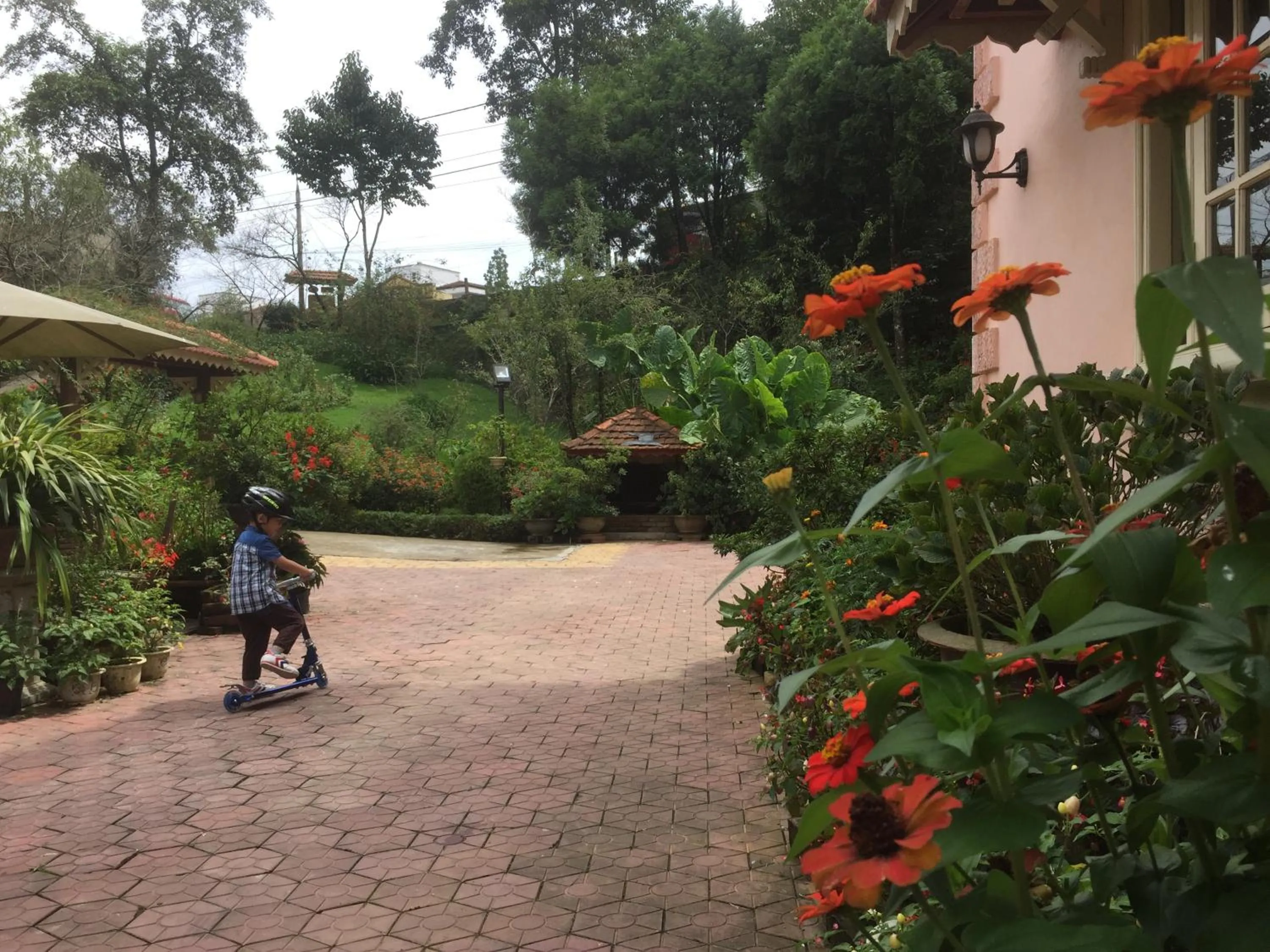 Spring in Sapa Garden Bed and Breakfast