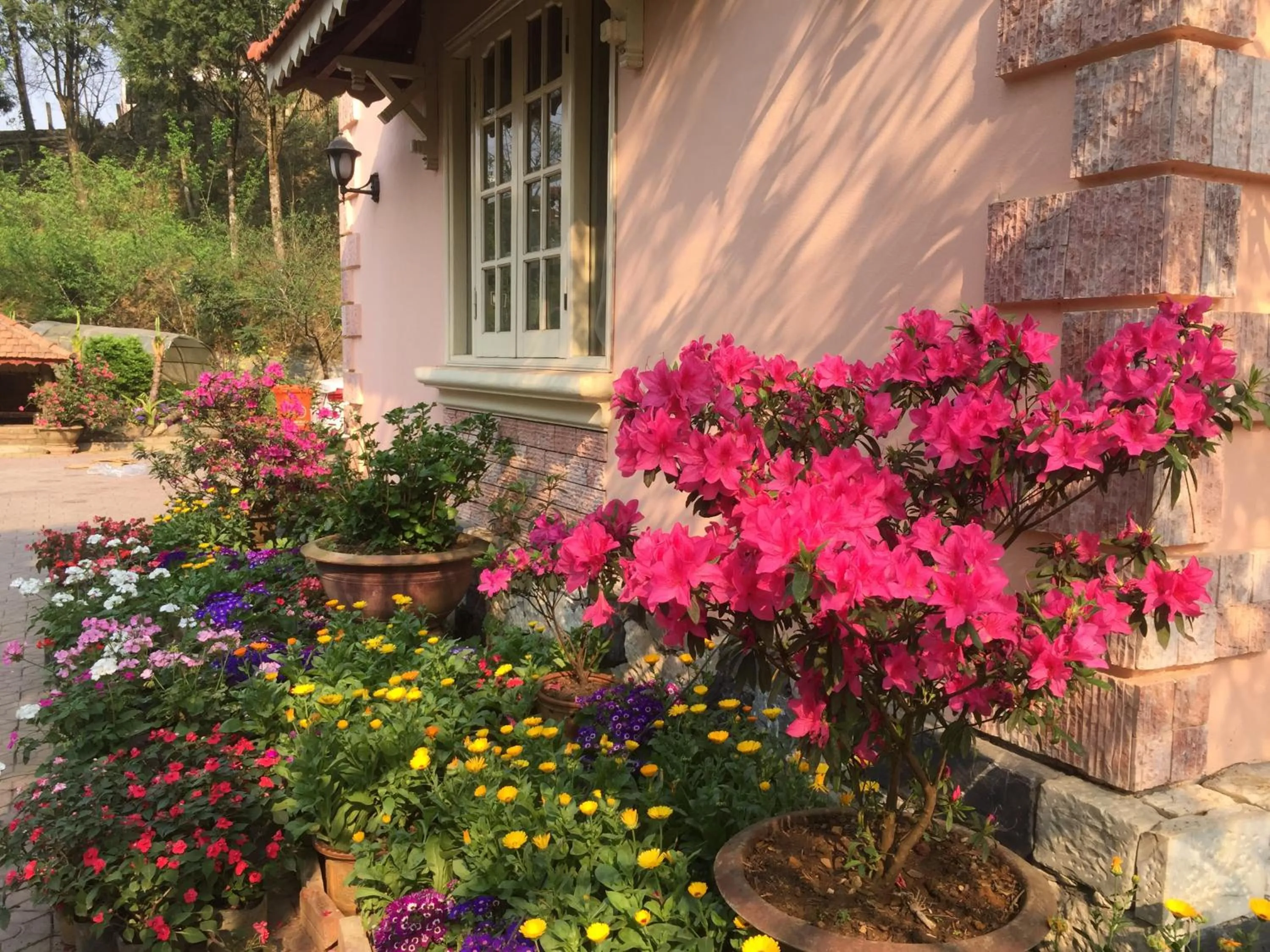 Spring in Sapa Garden Bed and Breakfast