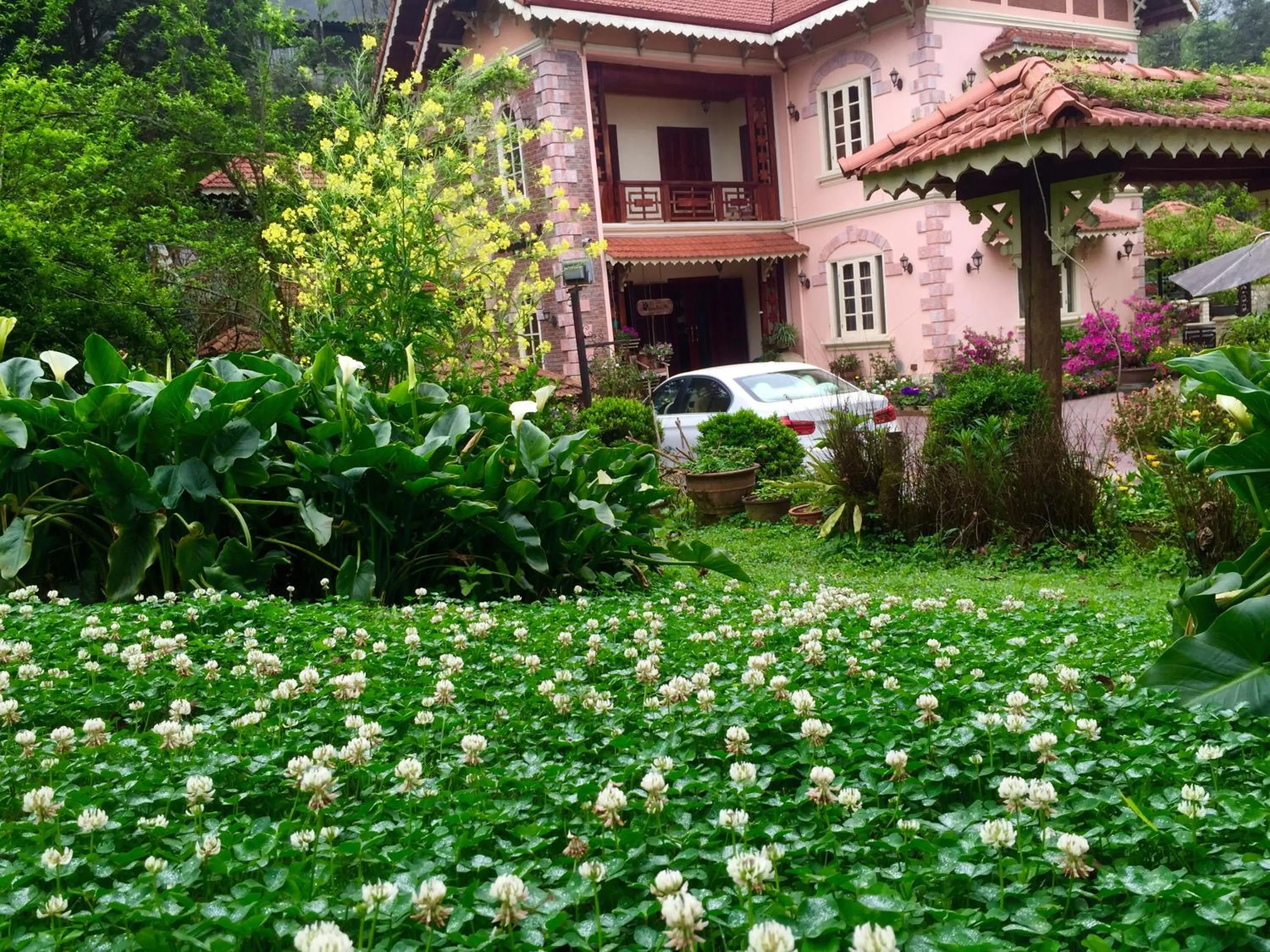 Spring in Sapa Garden Bed and Breakfast