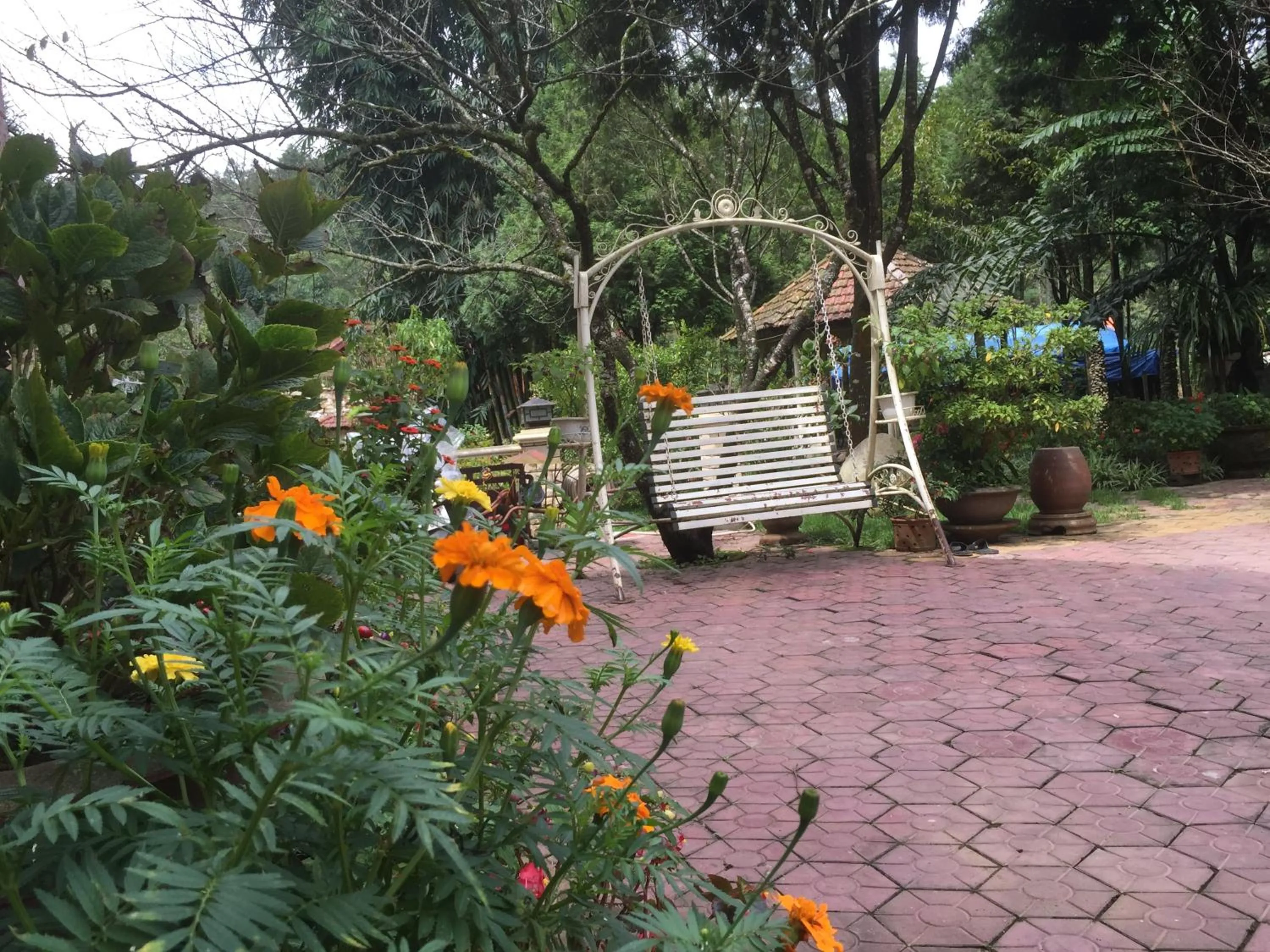 Patio in Sapa Garden Bed and Breakfast