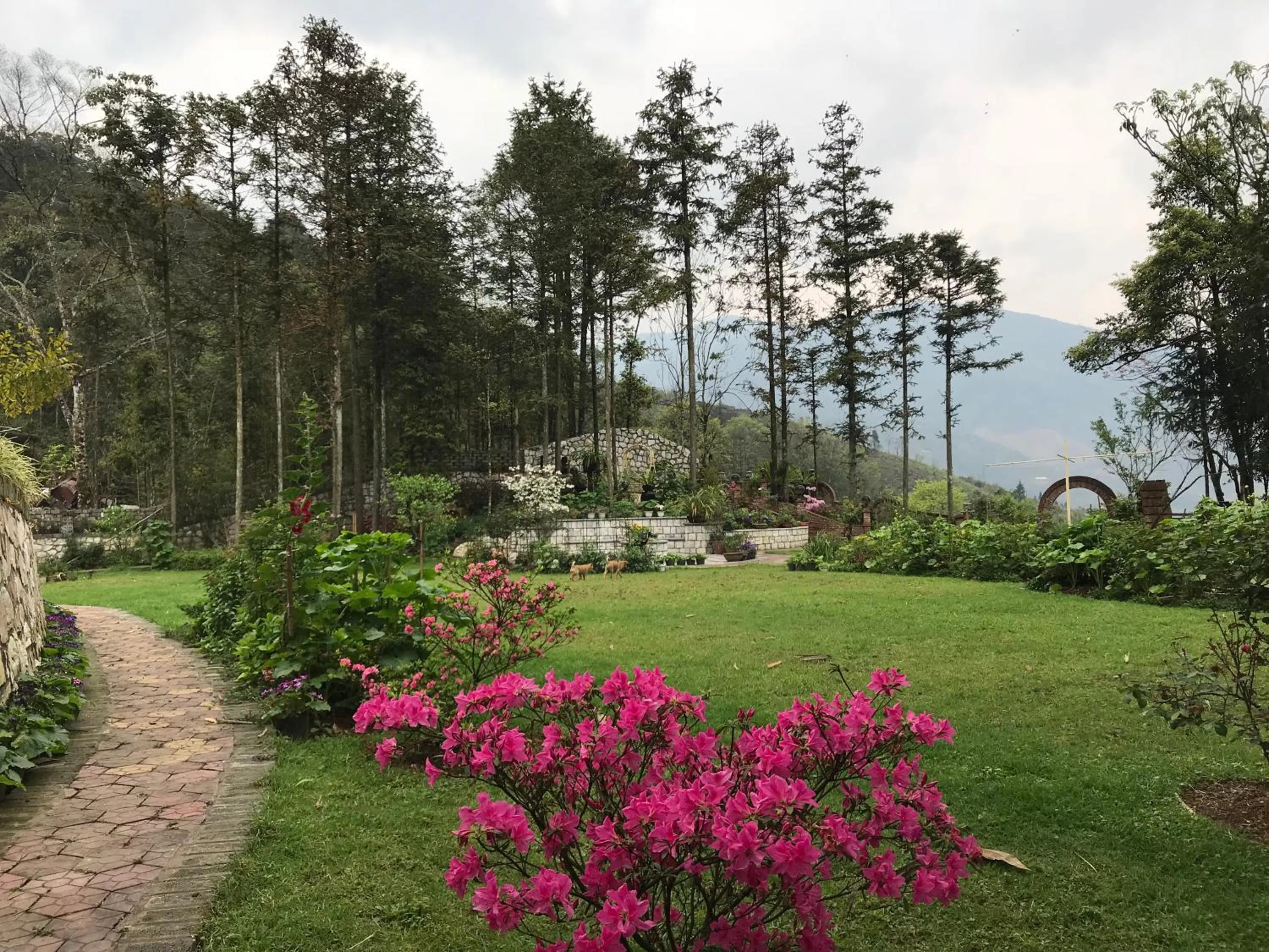 Garden in Sapa Garden Bed and Breakfast