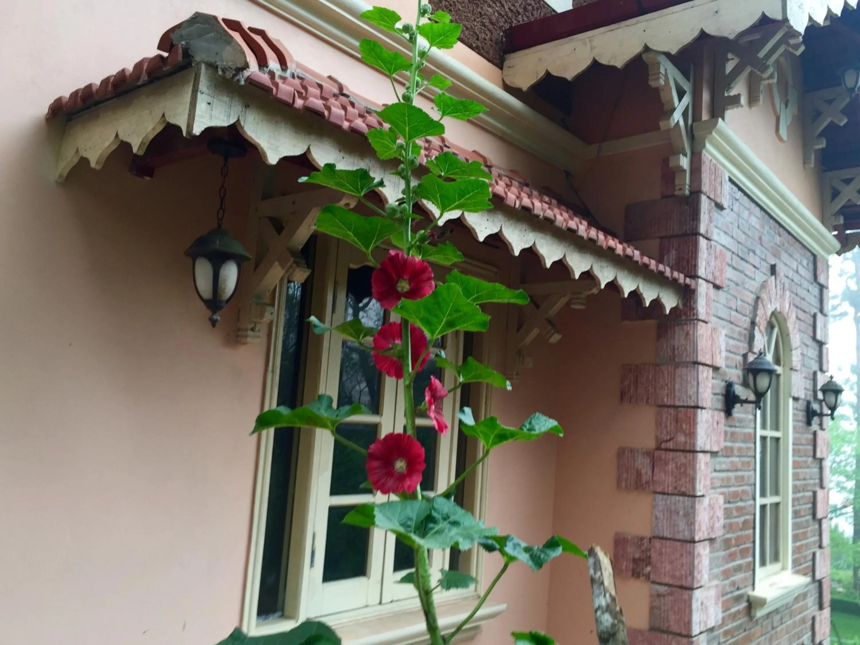 Property building in Sapa Garden Bed and Breakfast