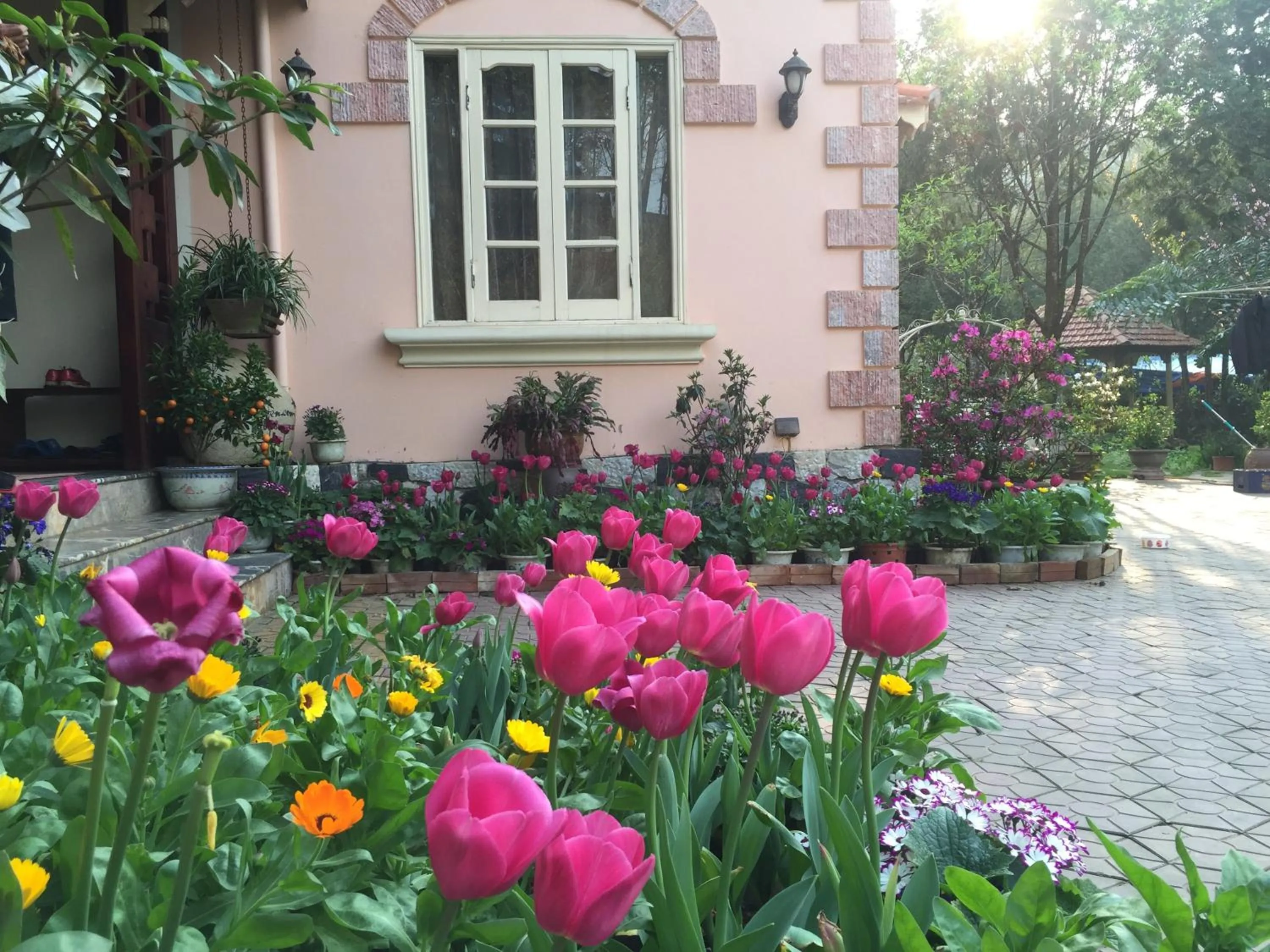 Spring in Sapa Garden Bed and Breakfast