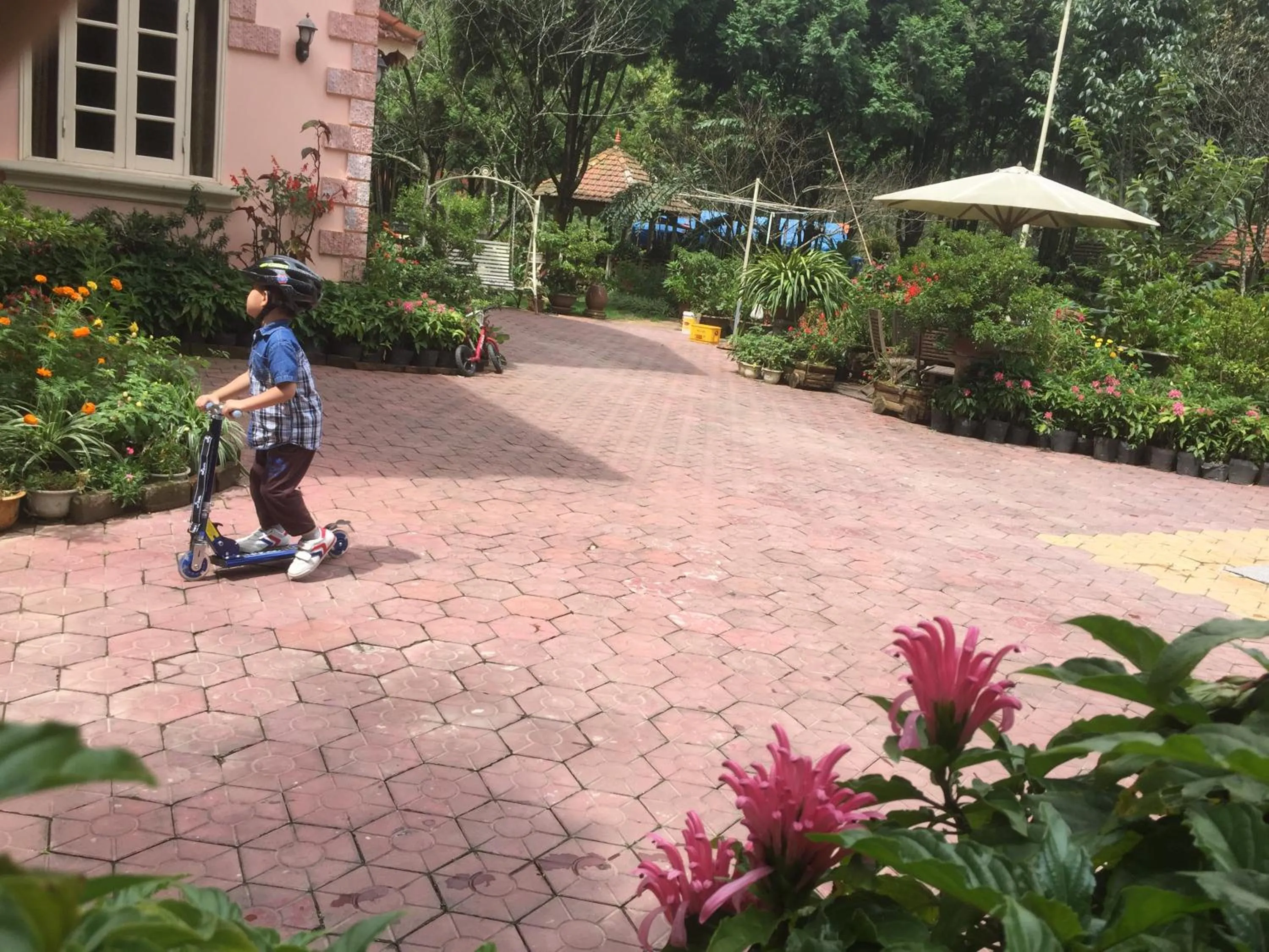 Day in Sapa Garden Bed and Breakfast