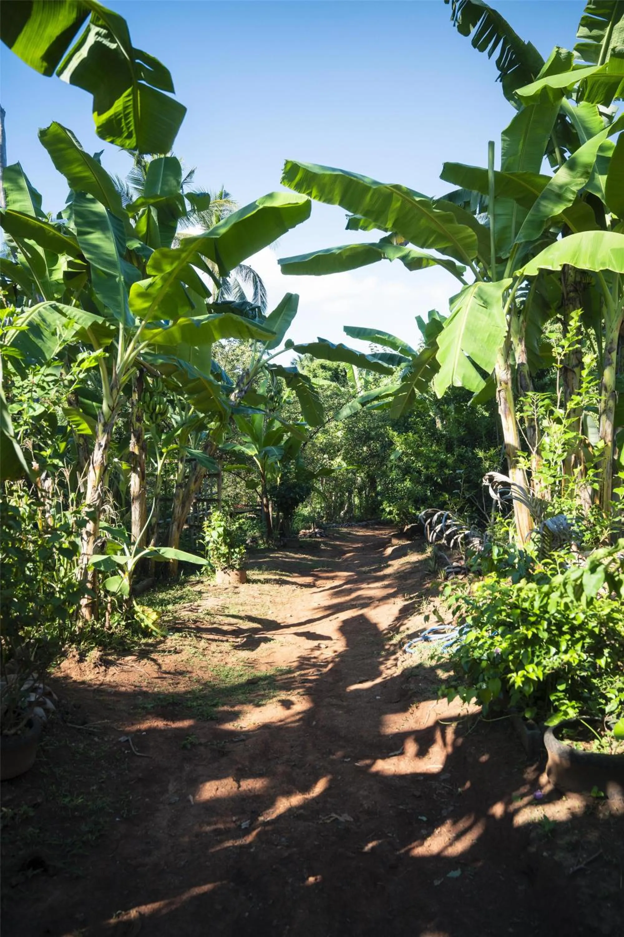 Restaurant/places to eat in Conrad Koh Samui