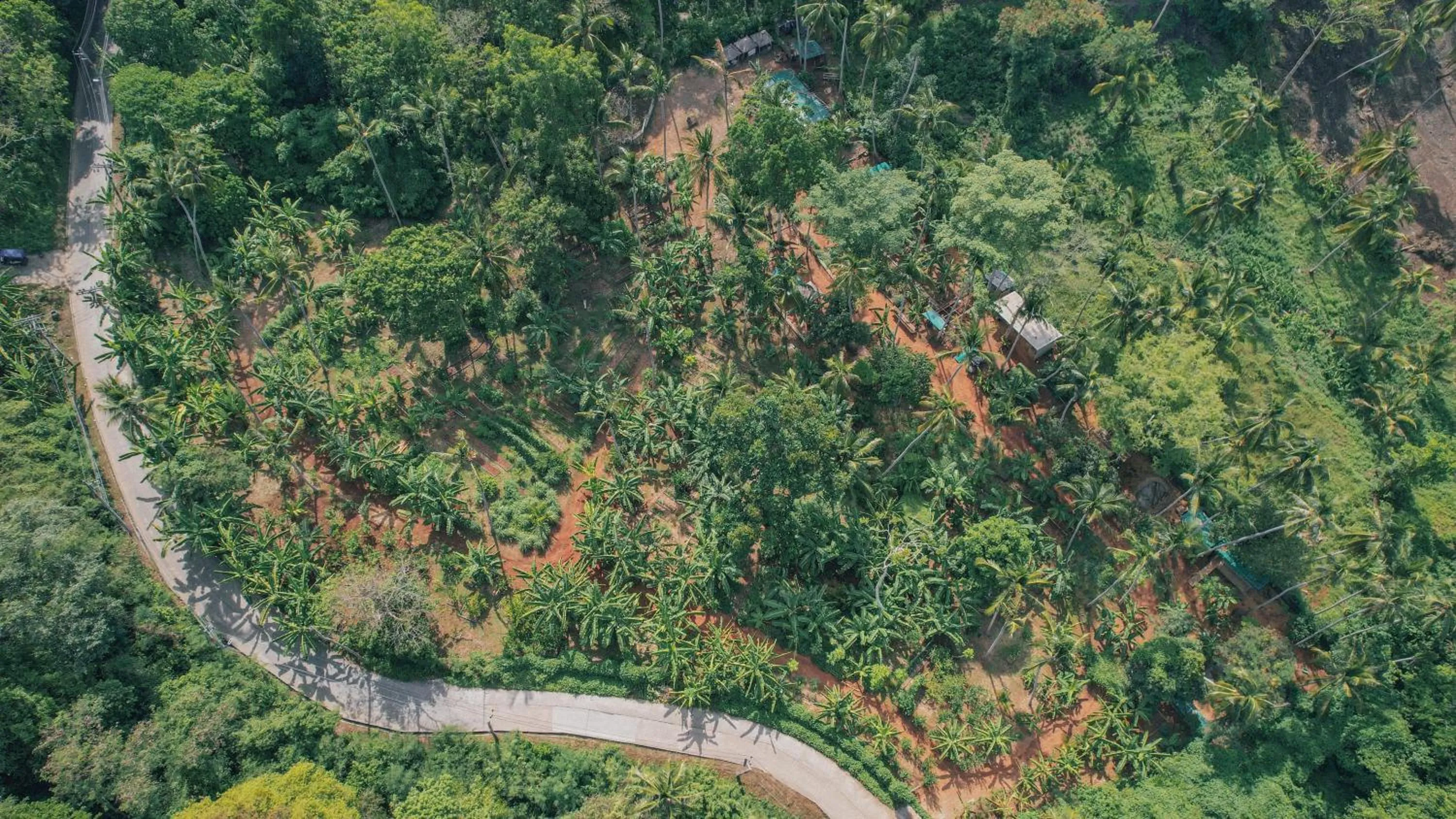 Property building in Conrad Koh Samui