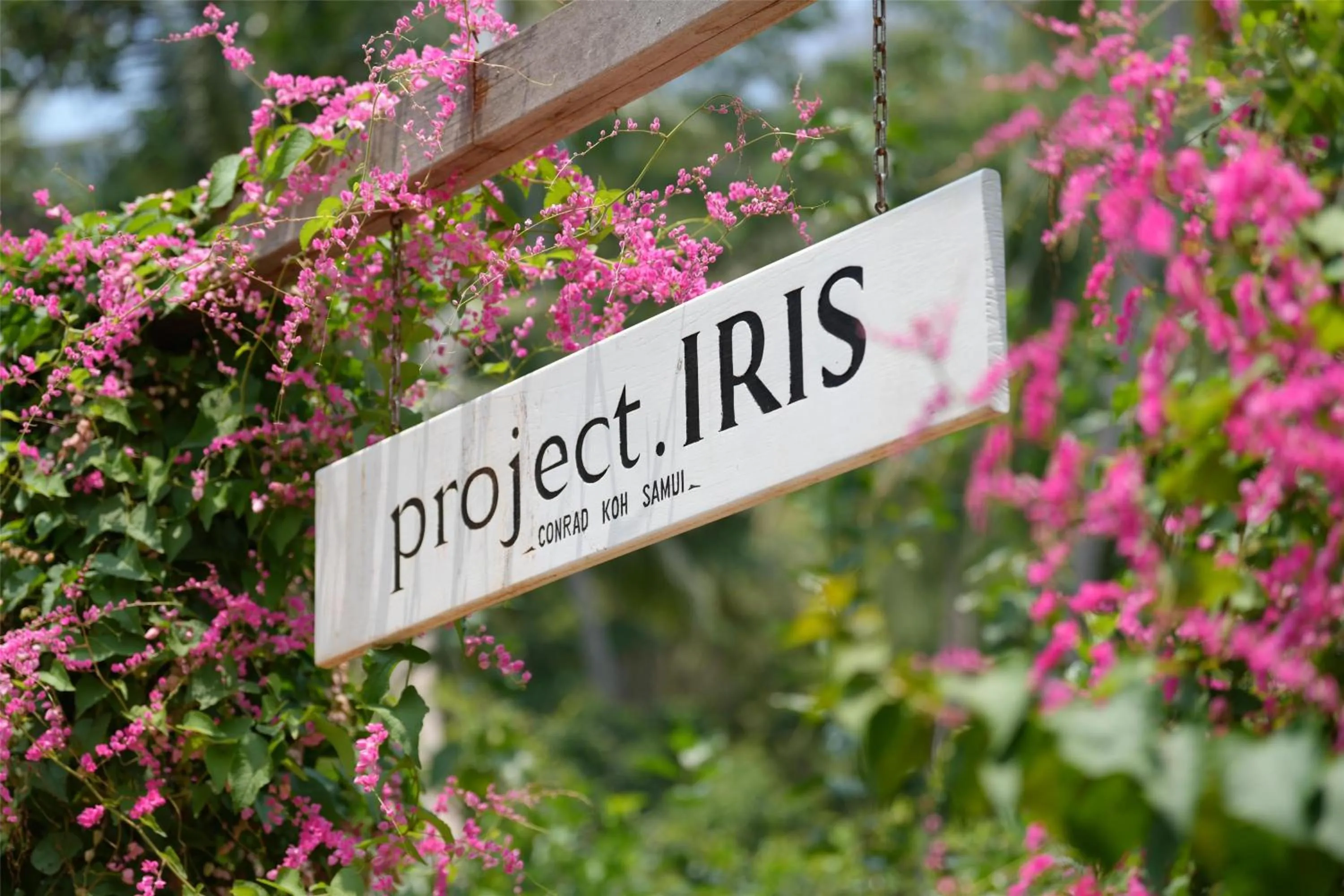 Activities in Conrad Koh Samui