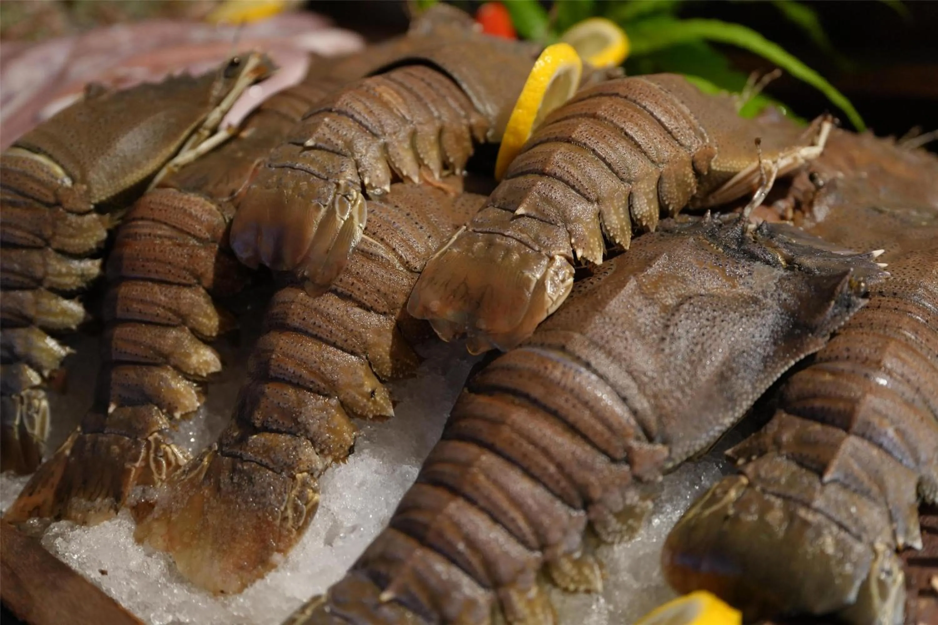 Restaurant/places to eat in Conrad Koh Samui