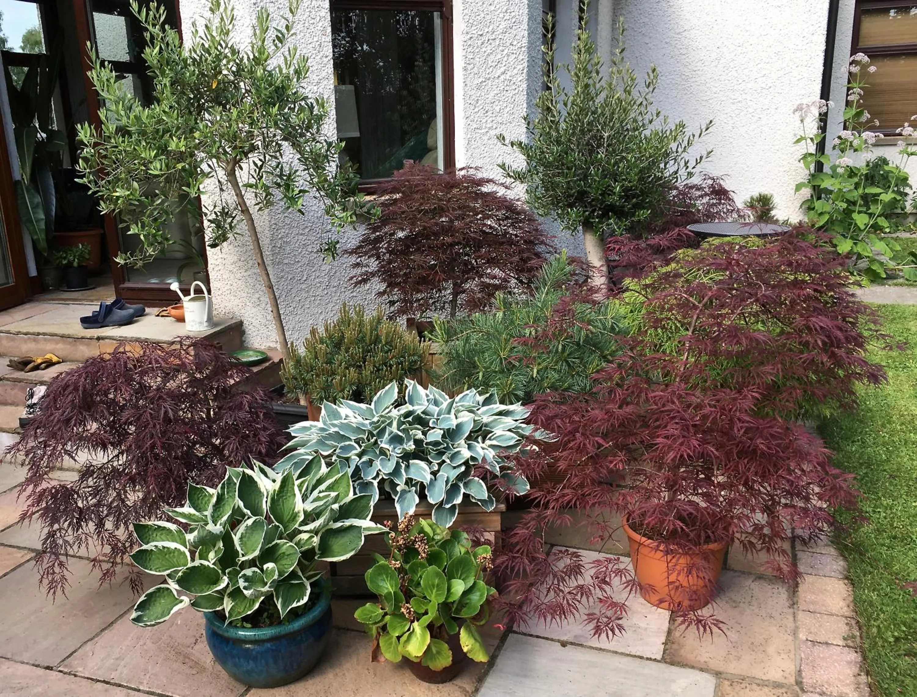 Balcony/Terrace in Home Farm Bed and Breakfast
