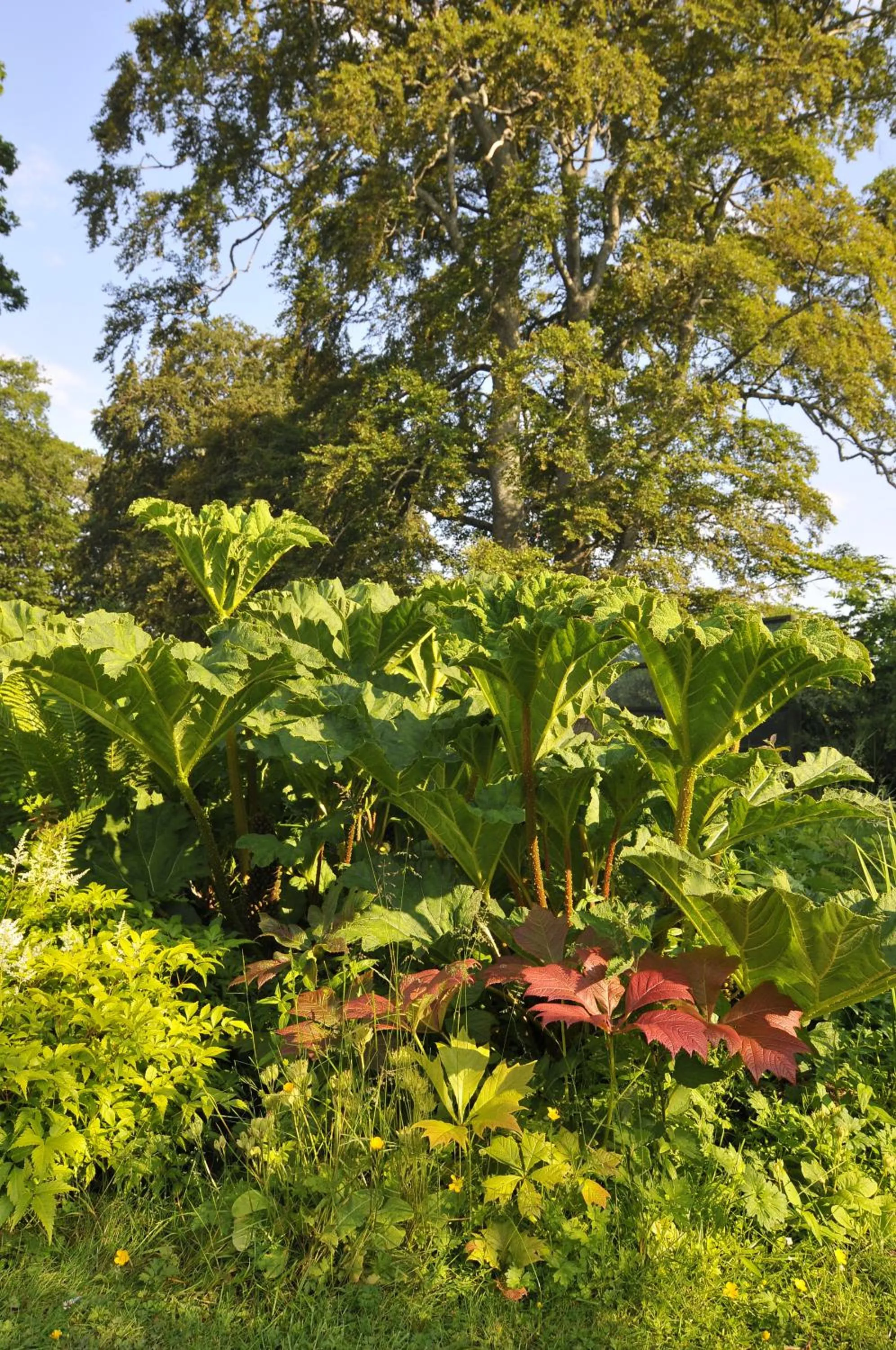 Garden in Home Farm Bed and Breakfast