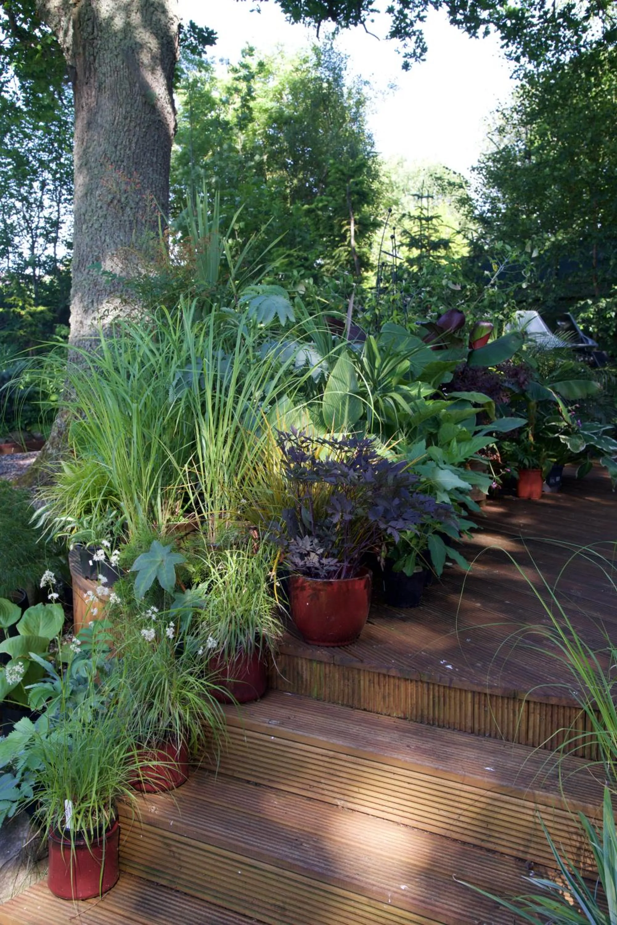 Balcony/Terrace in Home Farm Bed and Breakfast