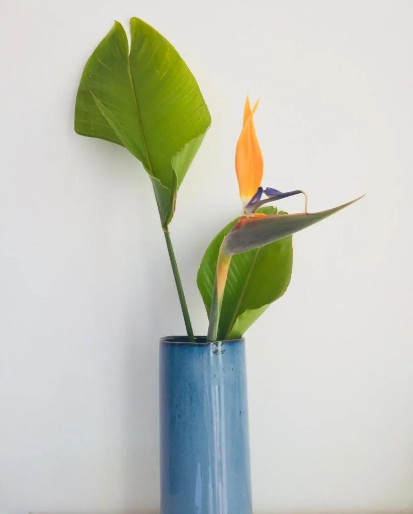 Decorative detail in B&B Villa Pinos Málaga