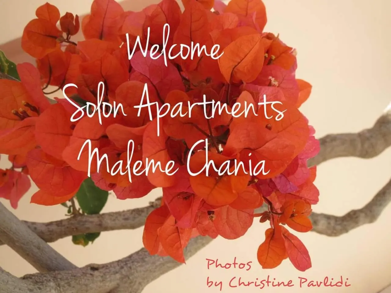 Spring in Solon Apartments