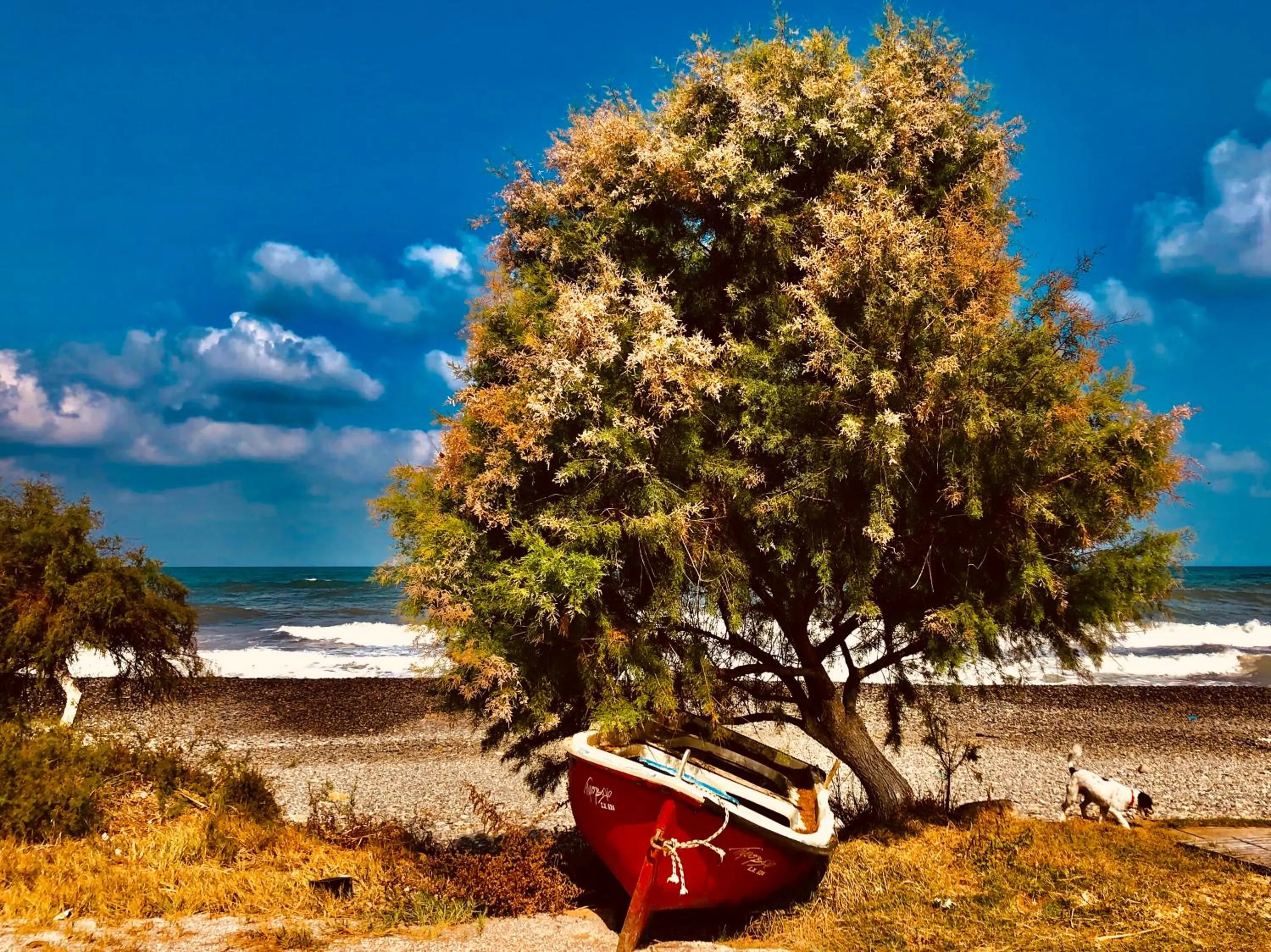 Nearby landmark in Solon Apartments