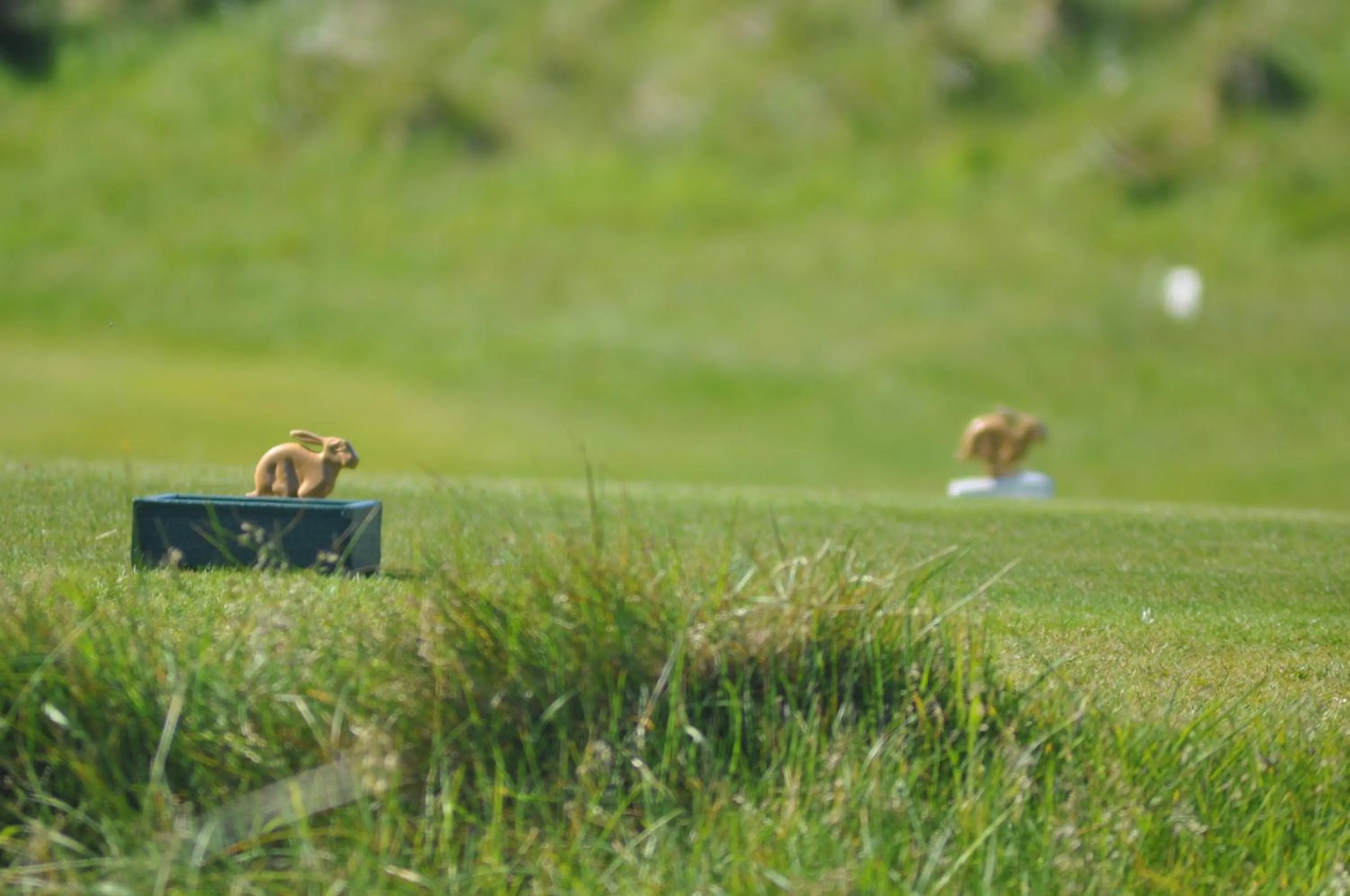 Golfcourse in Quinlan & Cooke Boutique Townhouse and QCs Seafood Restaurant