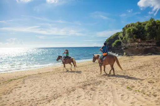 Nearby landmark in guesthouse yu -SEVEN Hotels and Resorts-