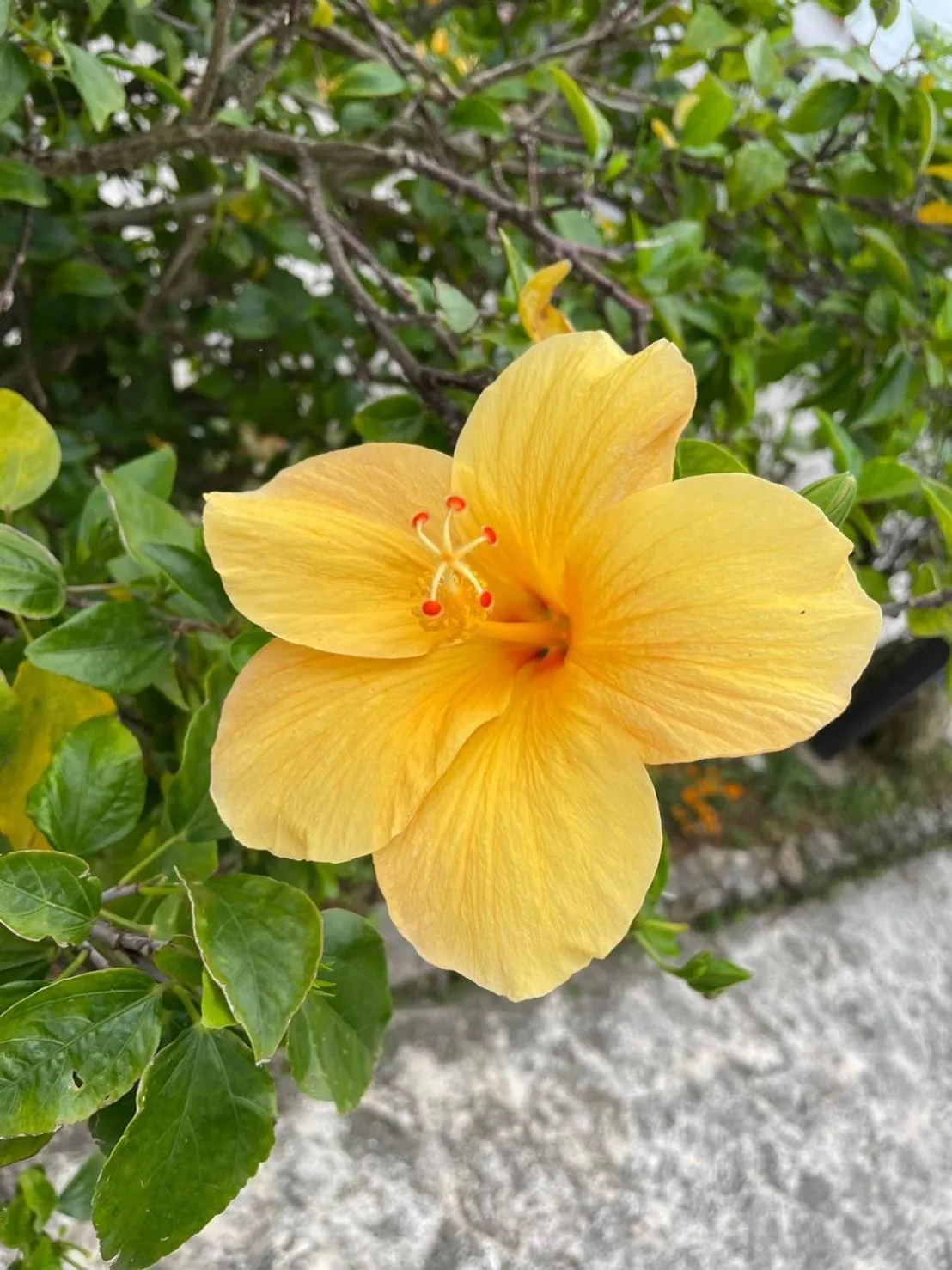 Nearby landmark in guesthouse yu -SEVEN Hotels and Resorts-