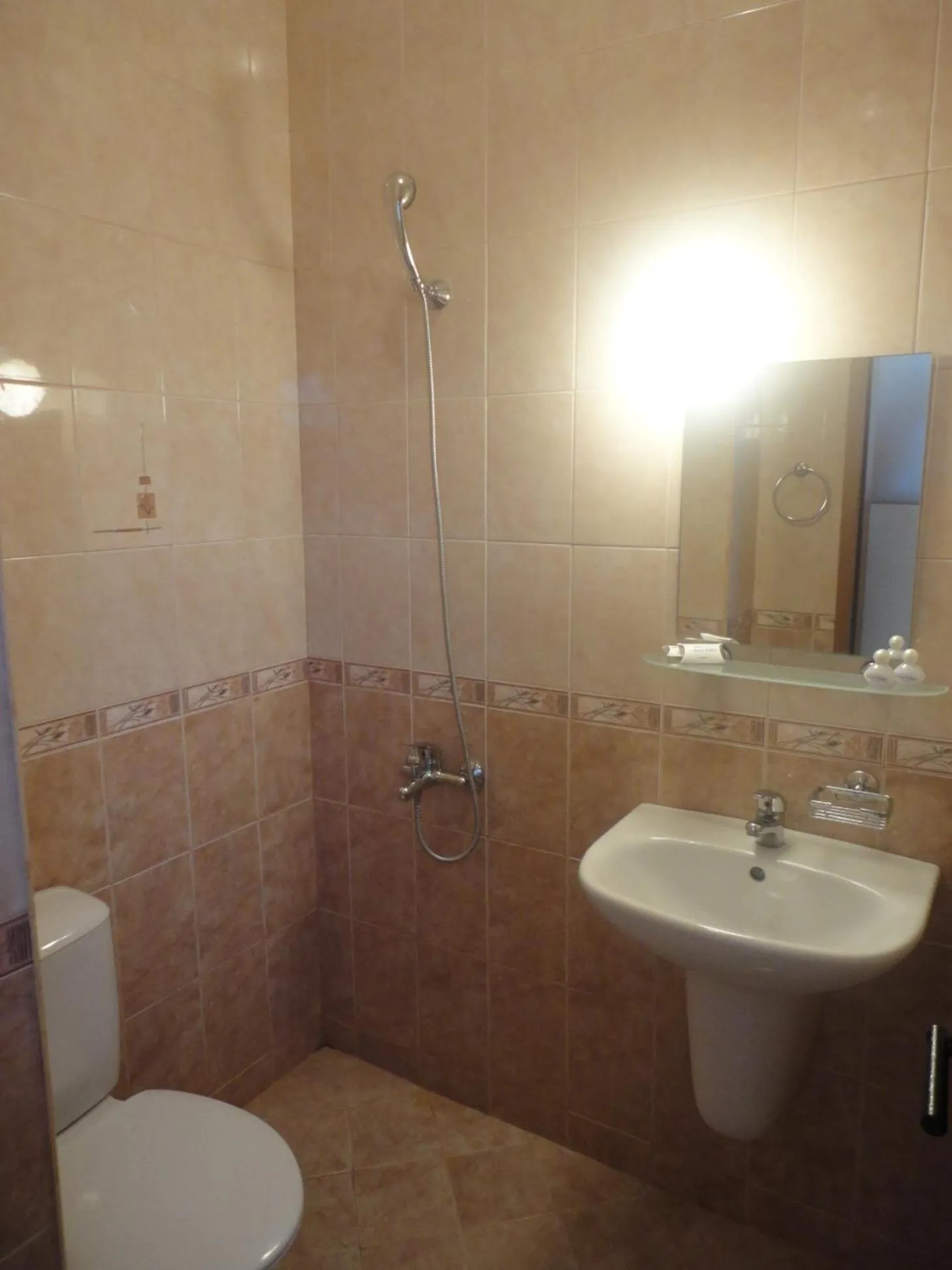Shower in Barex Family Hotel