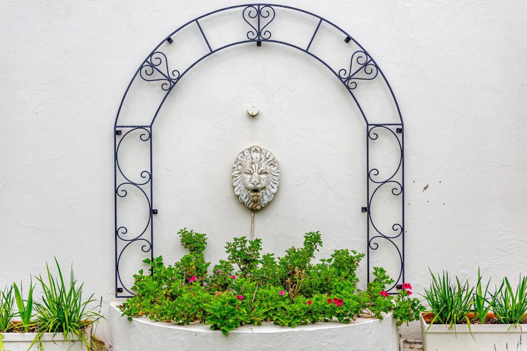 Garden in The Ashford