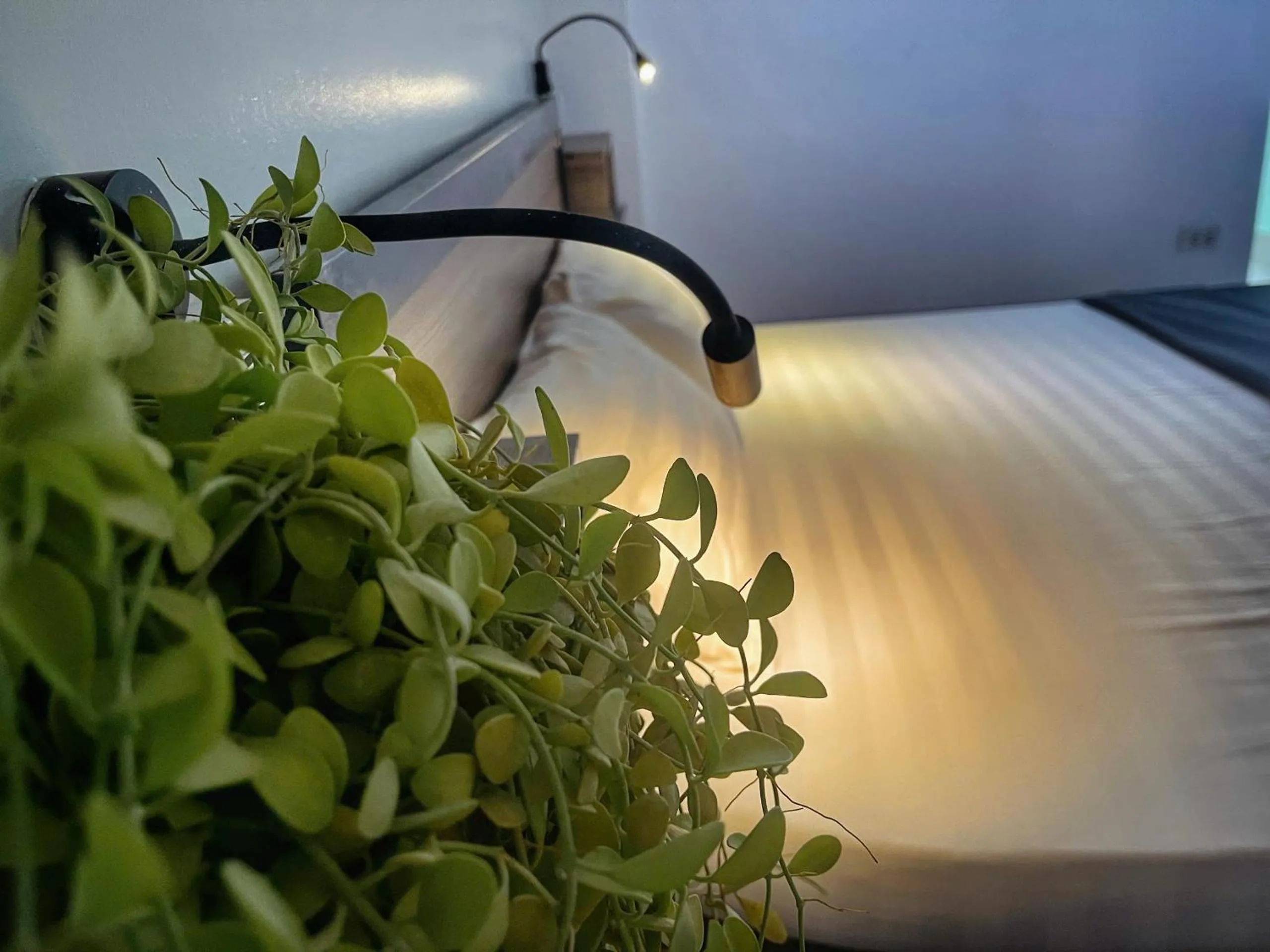 Bed in Hanoi EcoStay 2 hostel