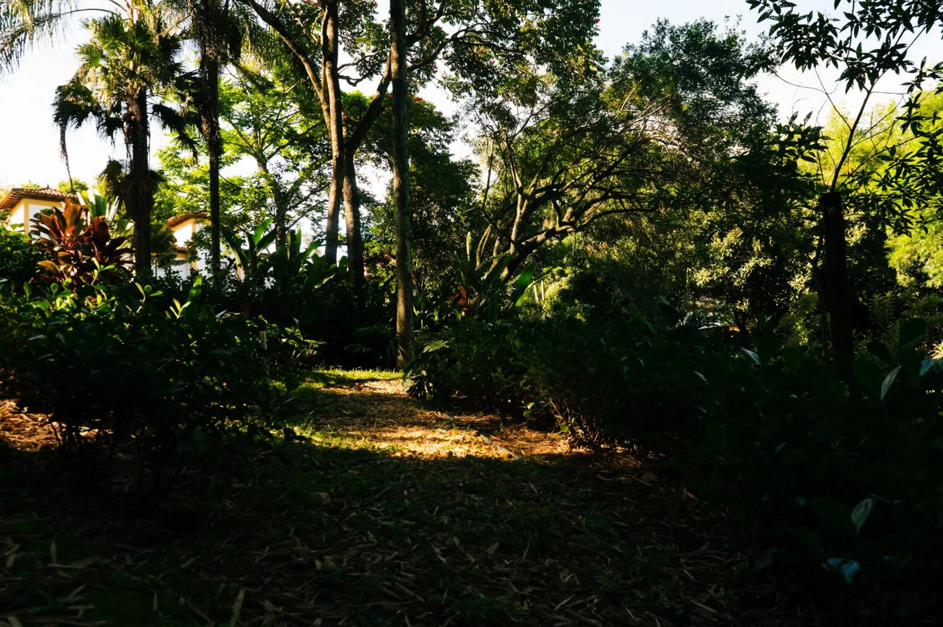 Garden in Pousada d'Oleo de Guignard