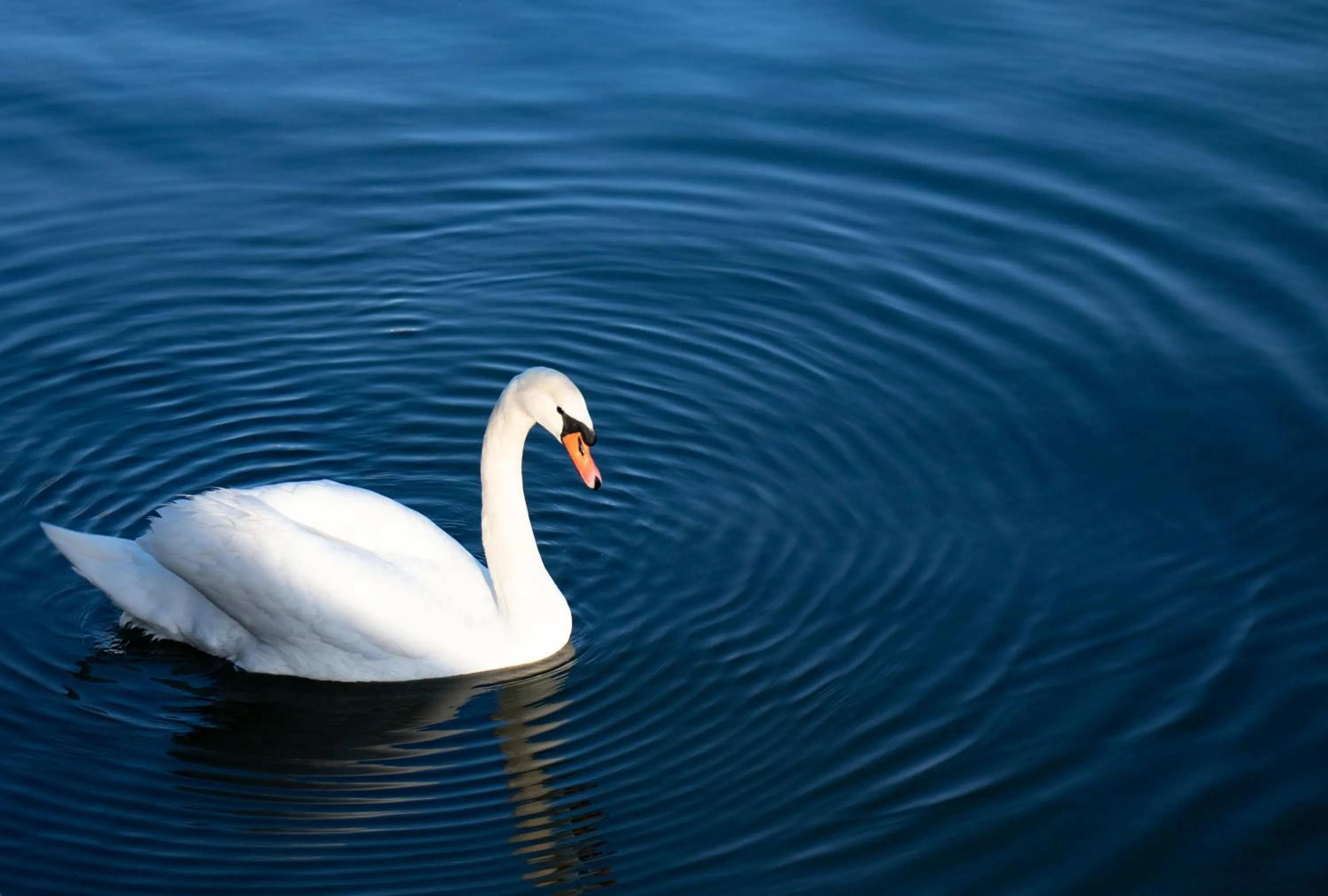 Lake view in Première Classe Istres