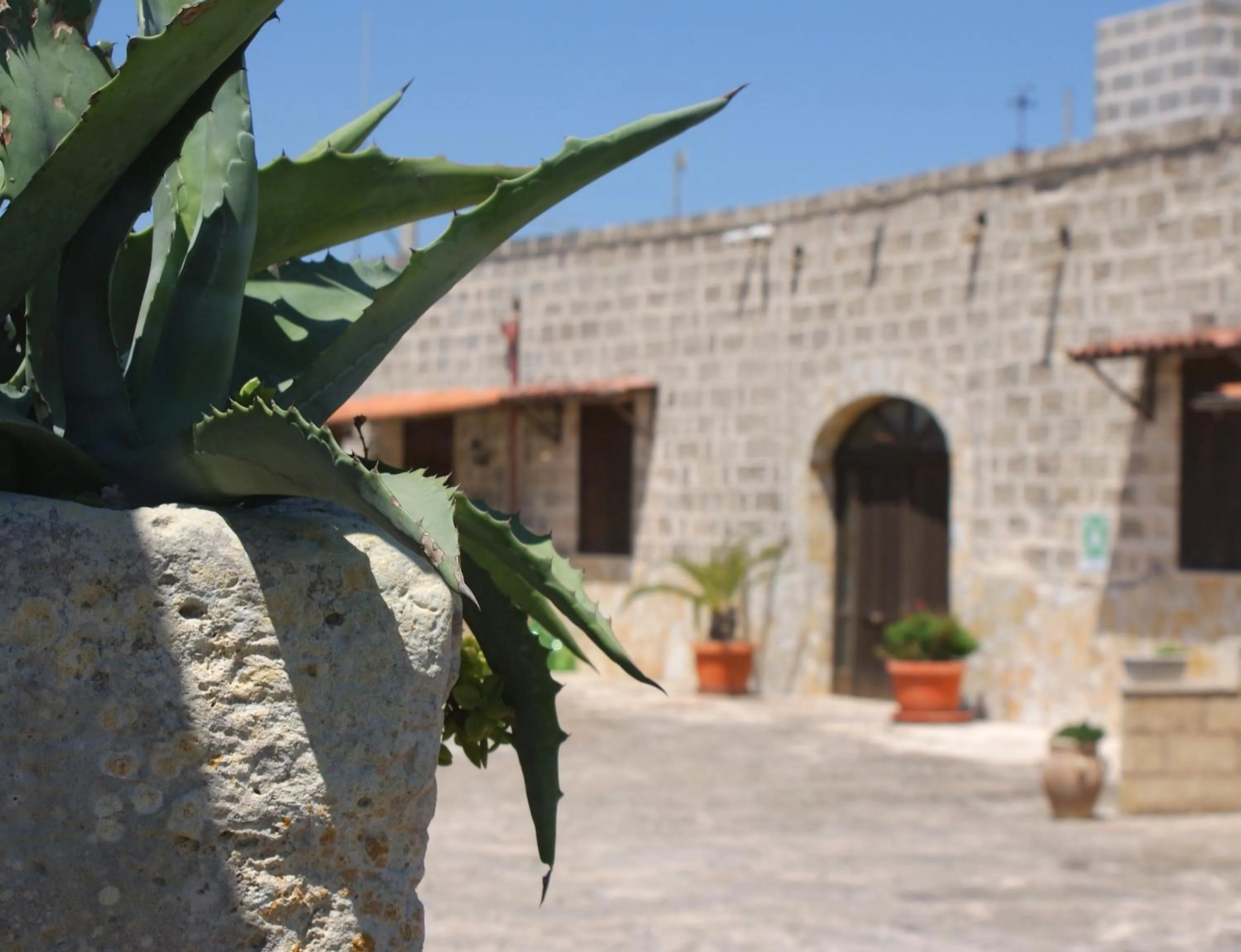Facade/entrance in Residence Conchiglia San Giovanni