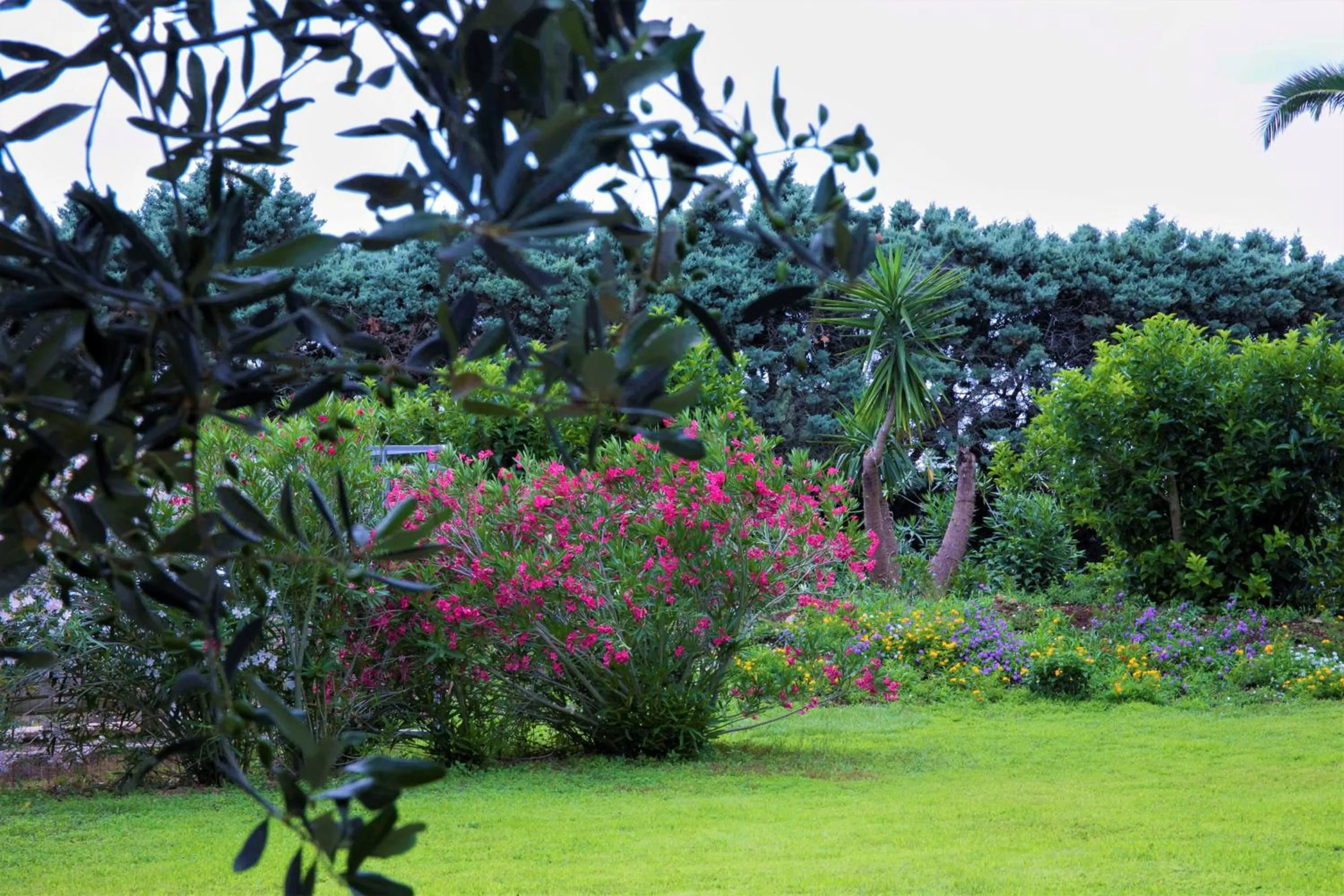 Garden in Residence Conchiglia San Giovanni