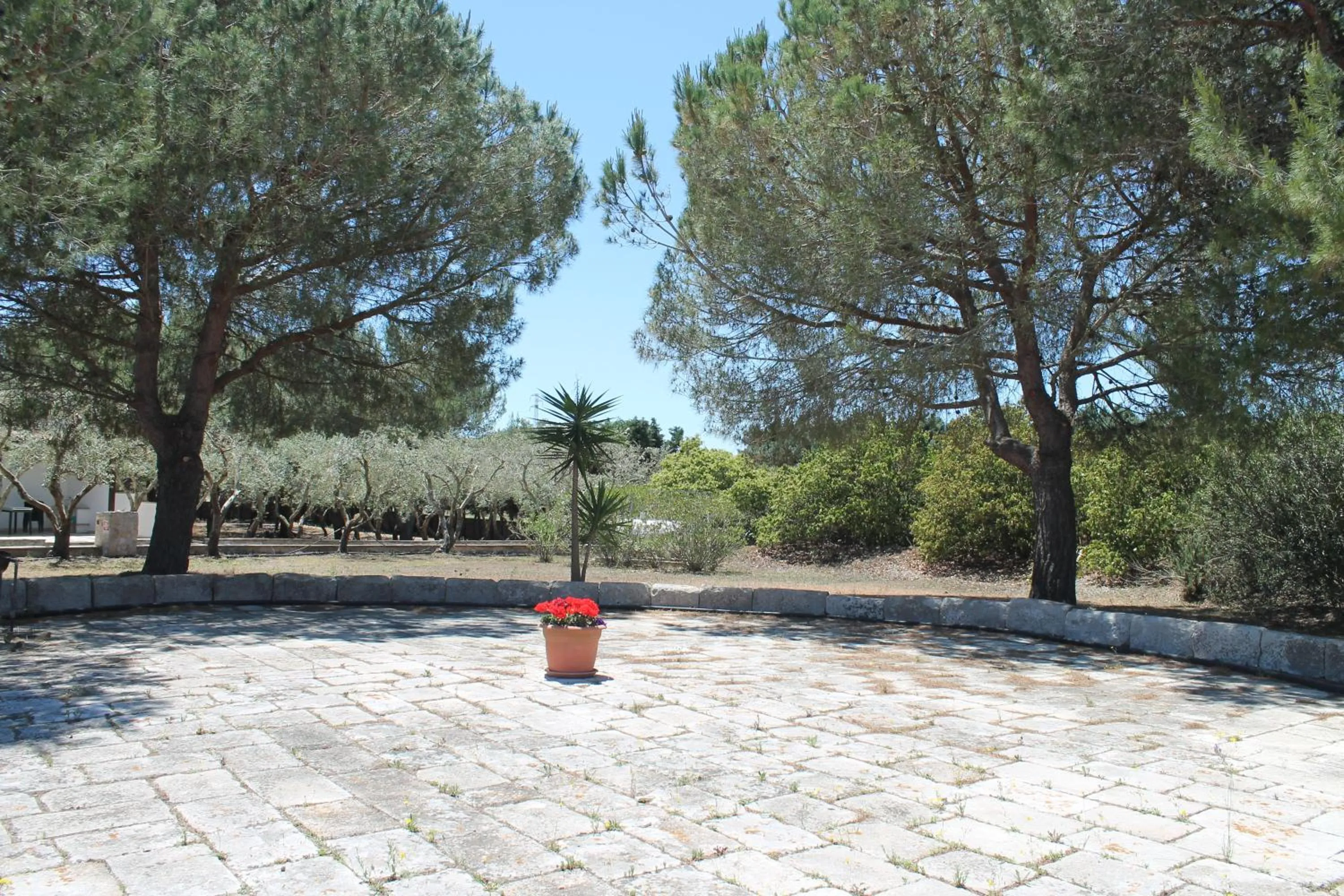 Patio in Residence Conchiglia San Giovanni