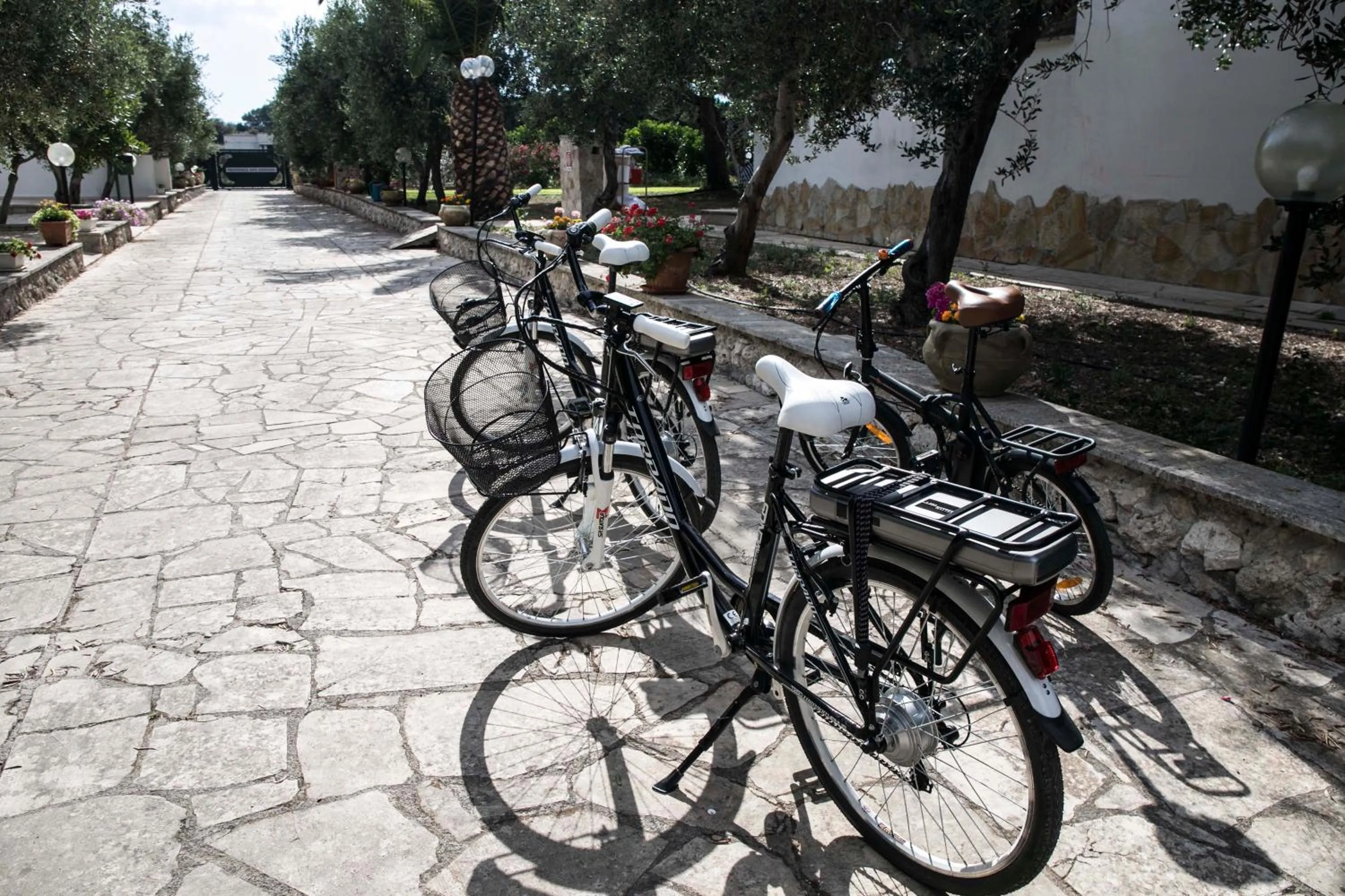 Area and facilities in Residence Conchiglia San Giovanni