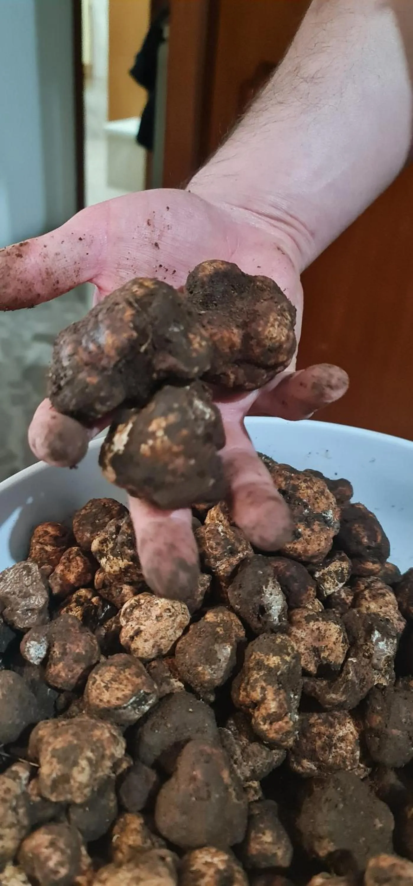 Hotel Profumo Di Mare