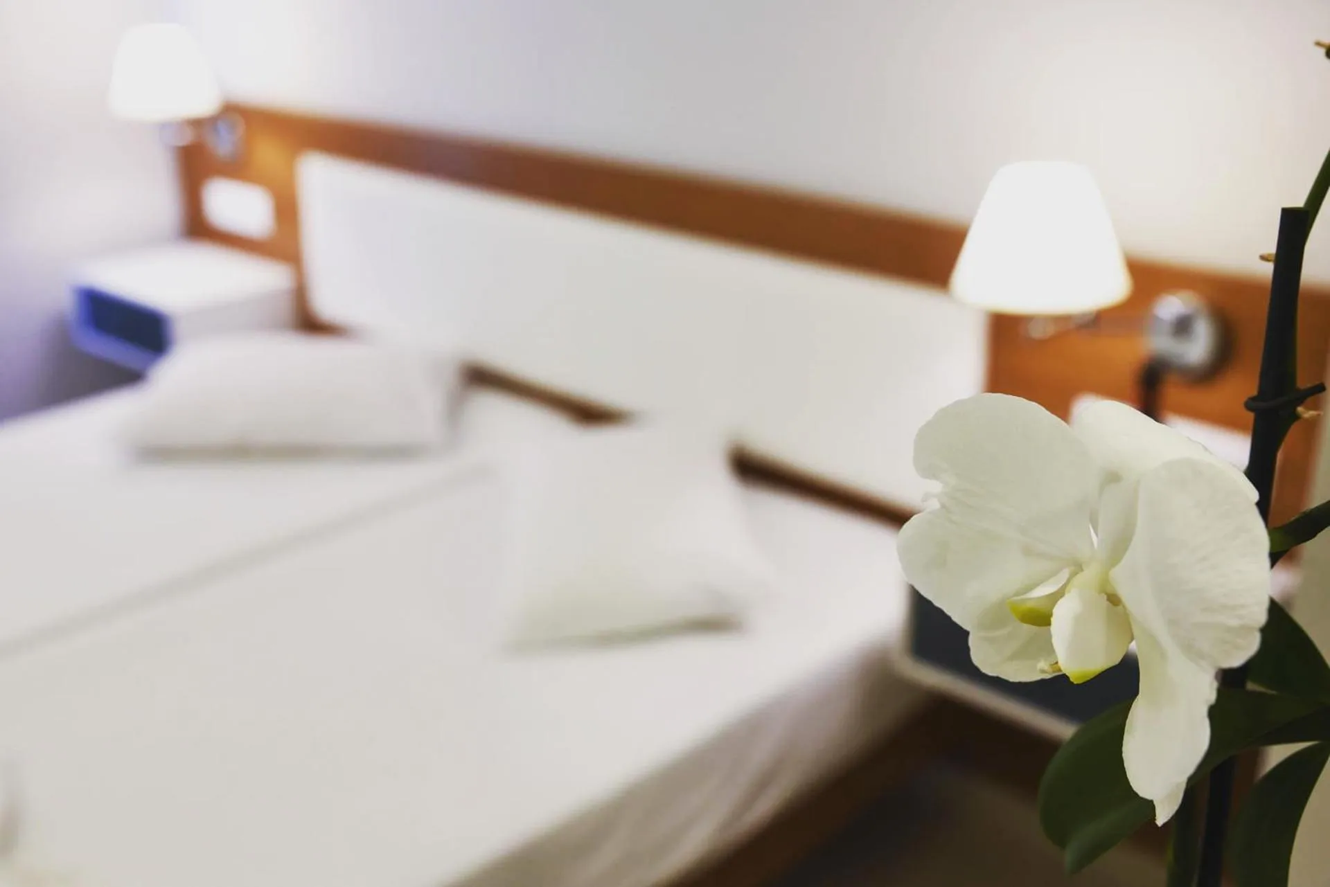 Decorative detail, Bed in Tsampika Hotel Faliraki