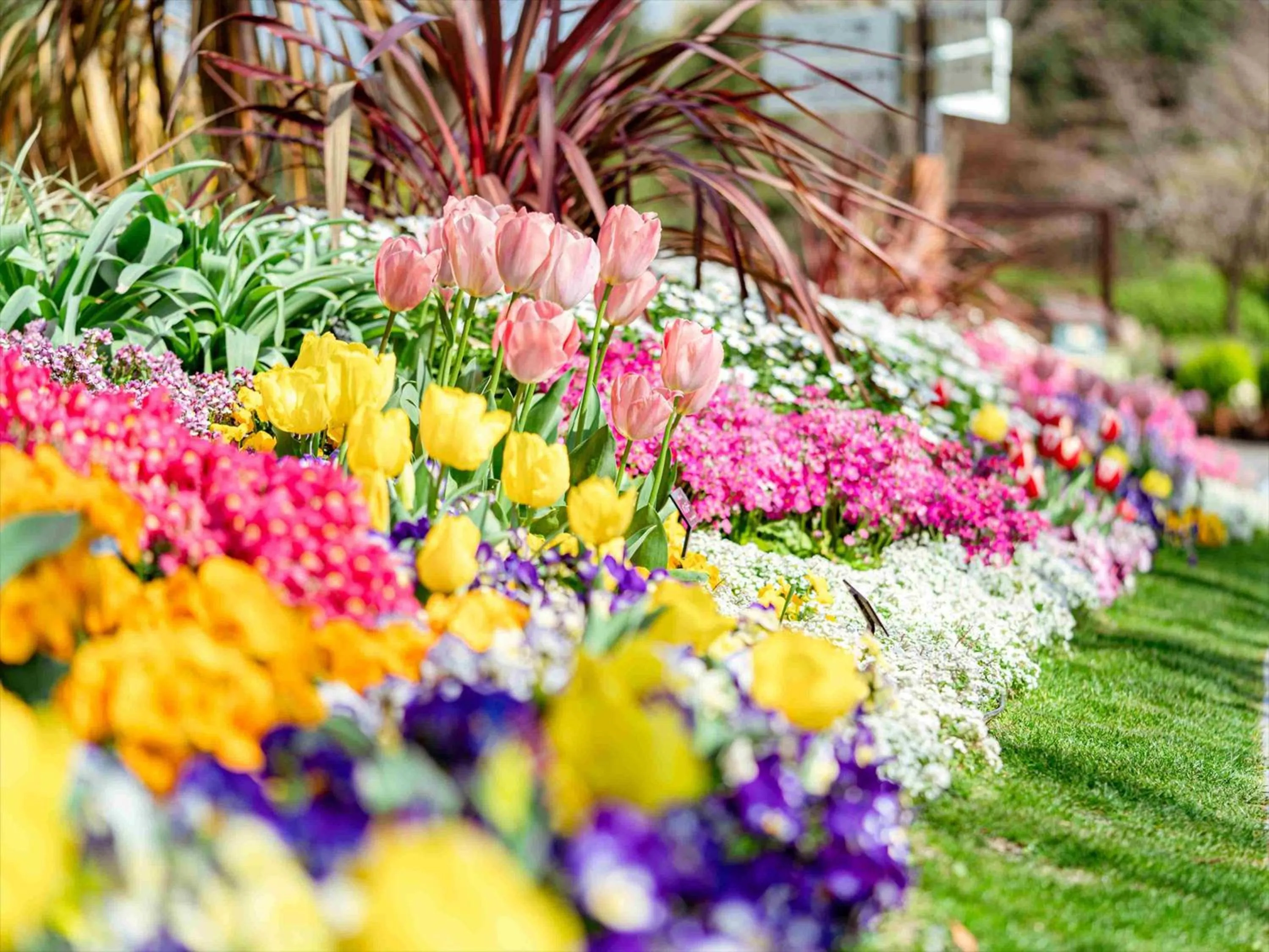 Nearby landmark in Tokyu Stay Hakata