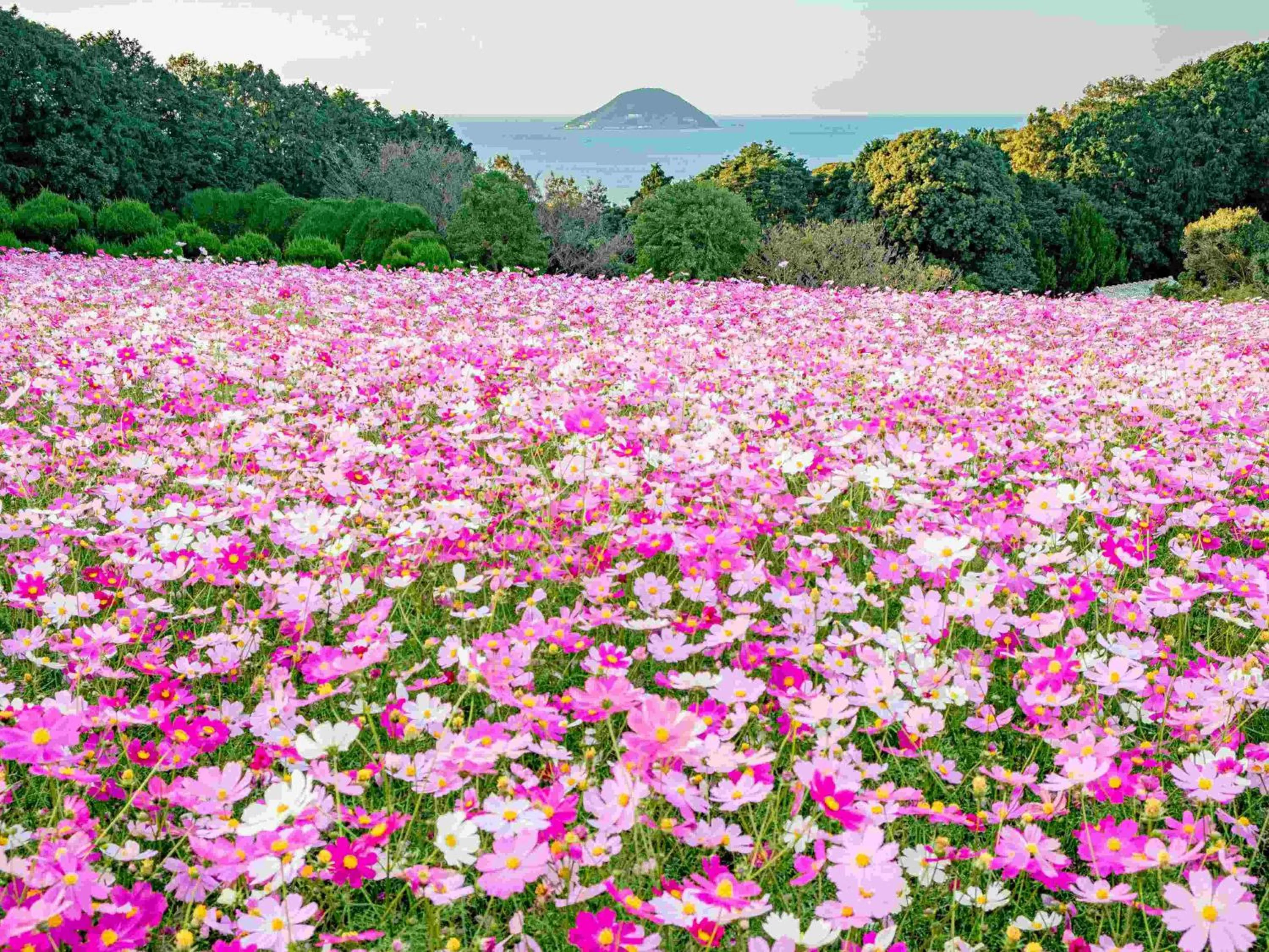 Nearby landmark in Tokyu Stay Hakata