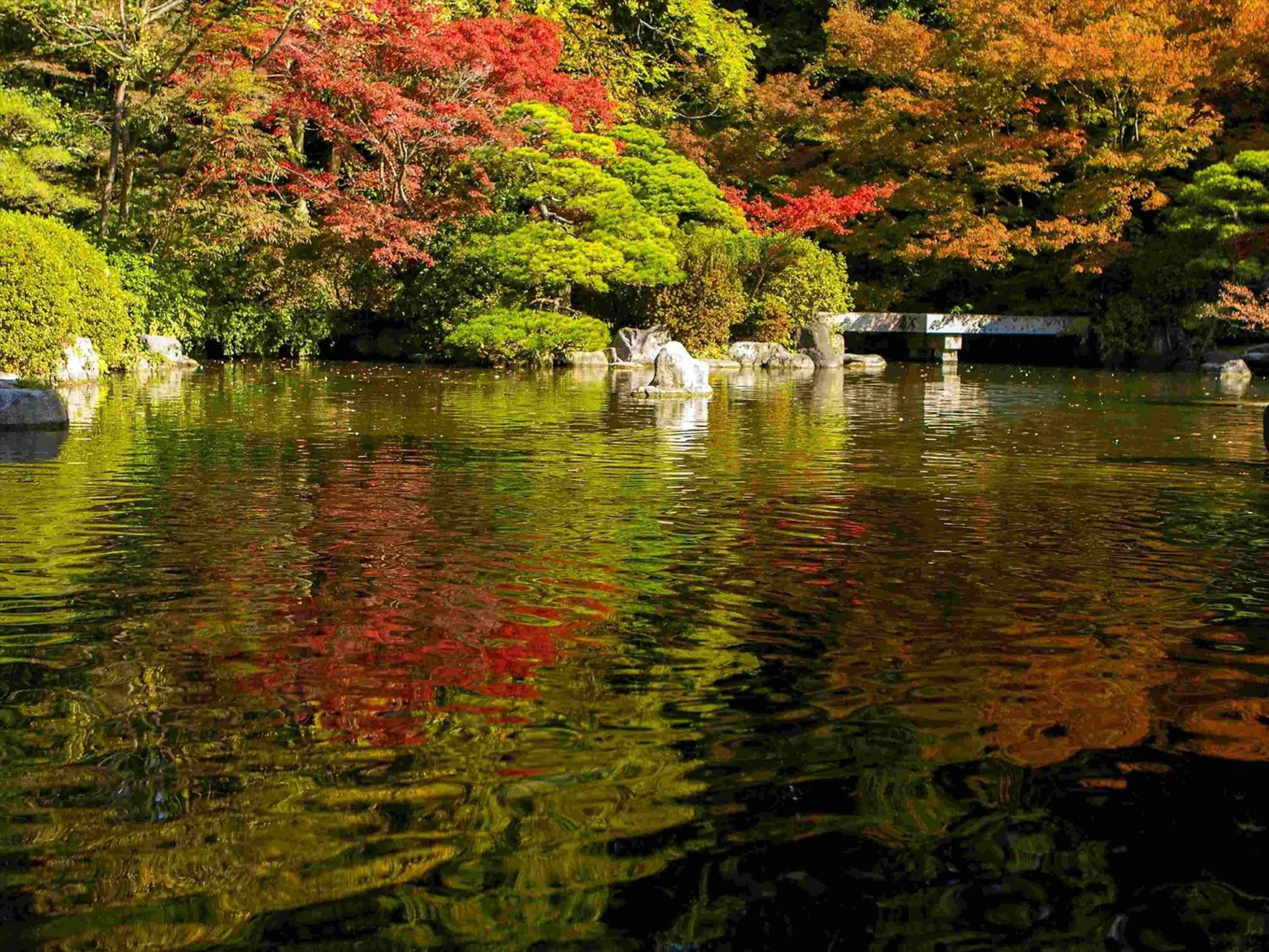 Nearby landmark in Tokyu Stay Hakata