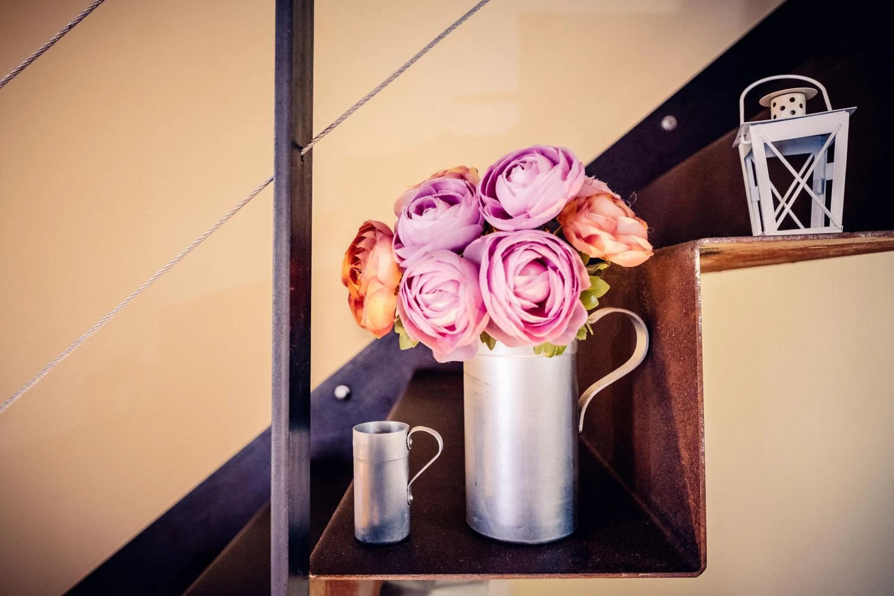 Other in B&B La Casa Di Plinio