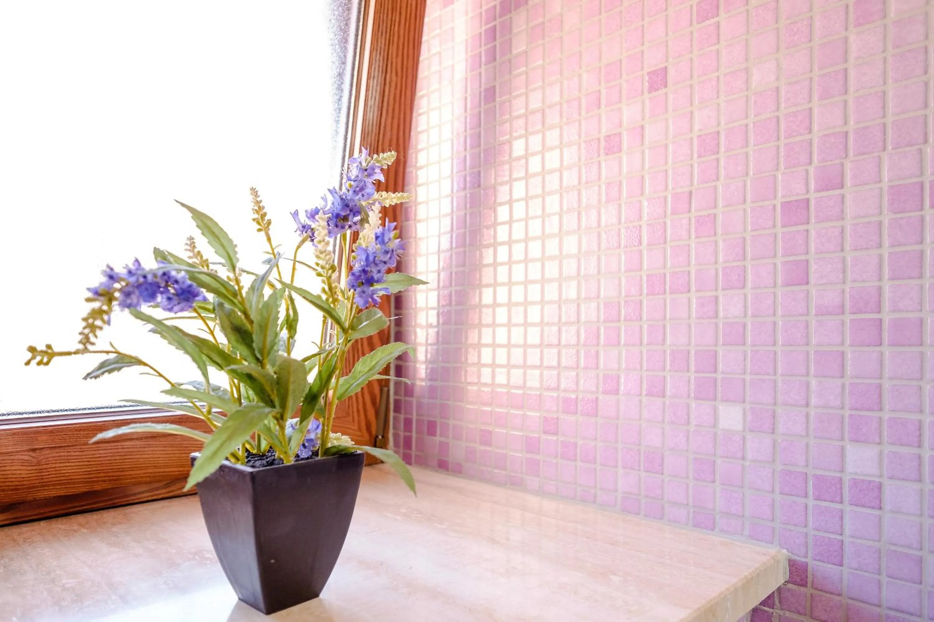 Day in B&B La Casa Di Plinio