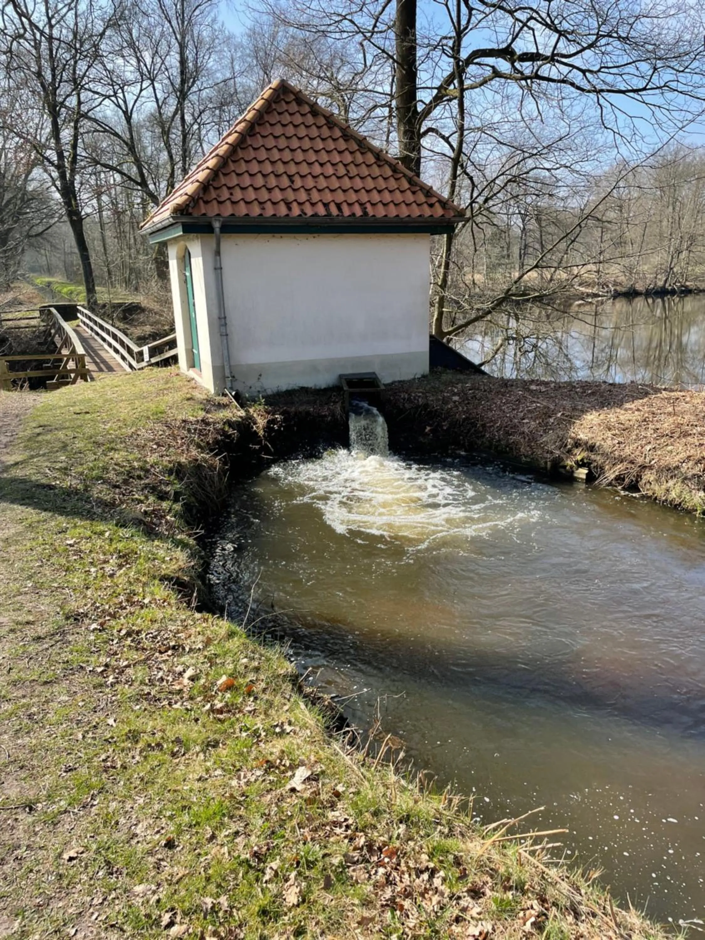 Hiking in Landhotel Witte-König