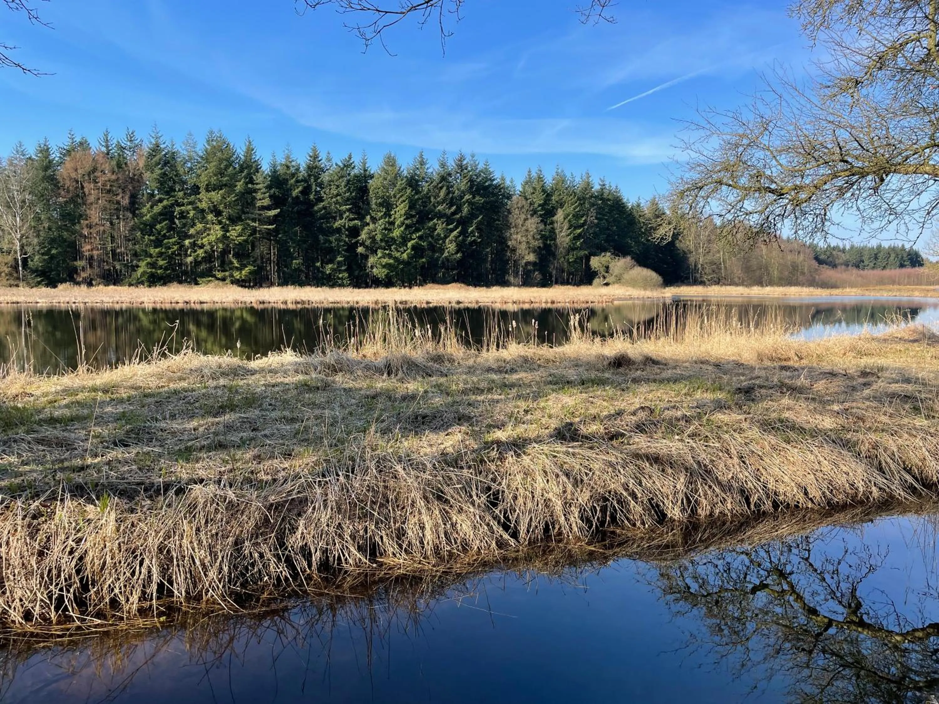 Property building in Landhotel Witte-König