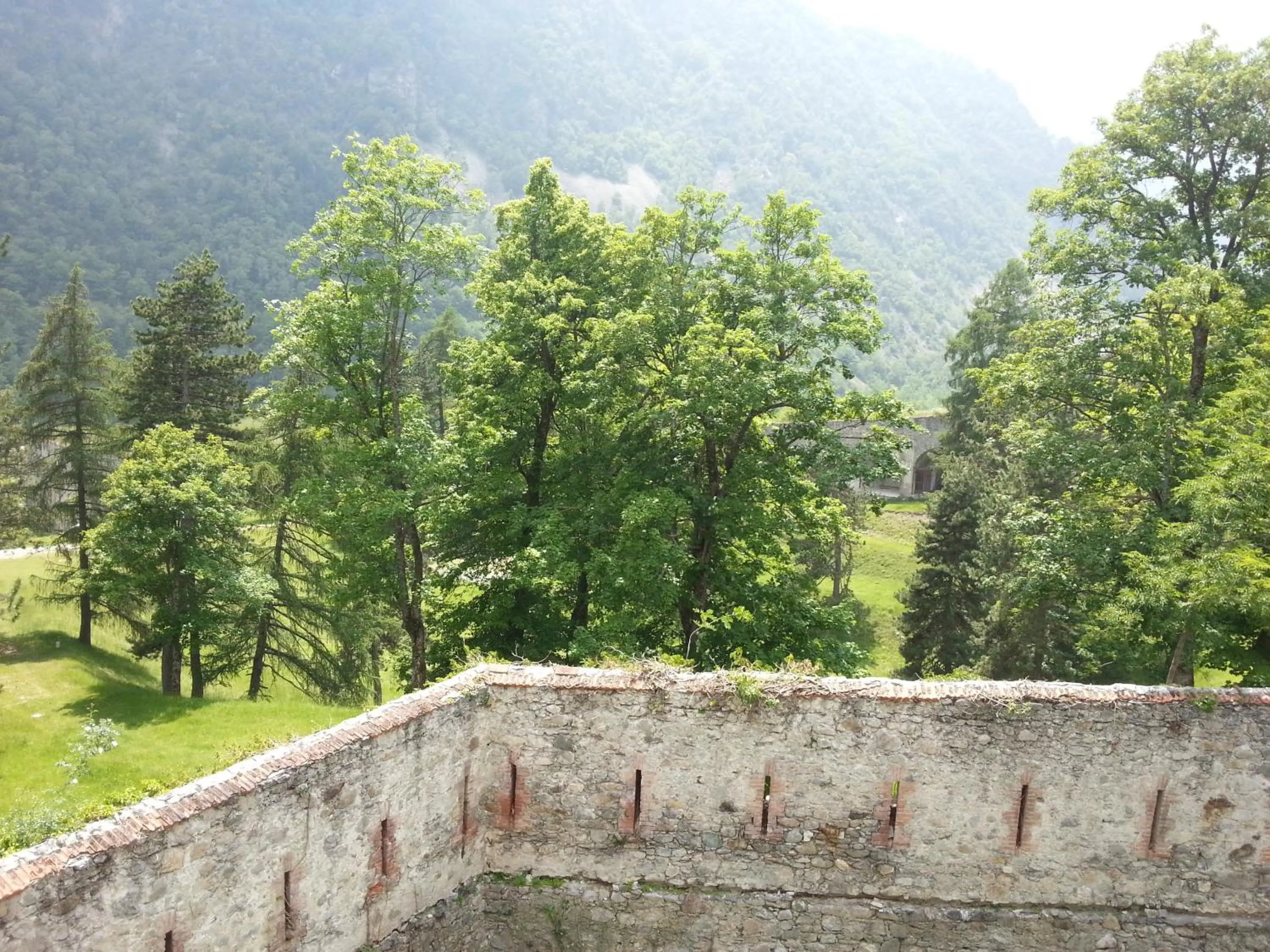 Garden in Chalet Monte Nebius