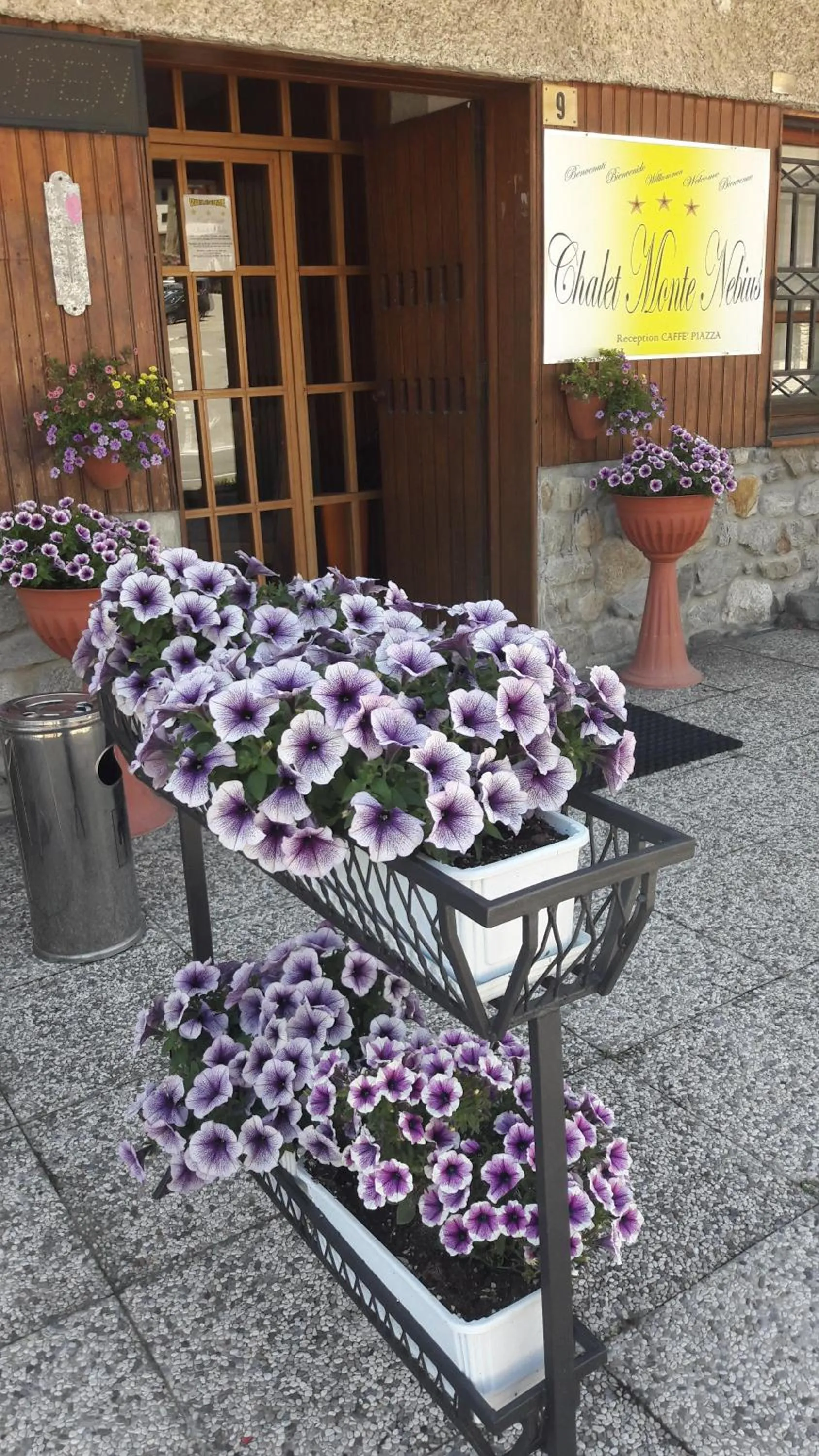 Spring in Chalet Monte Nebius