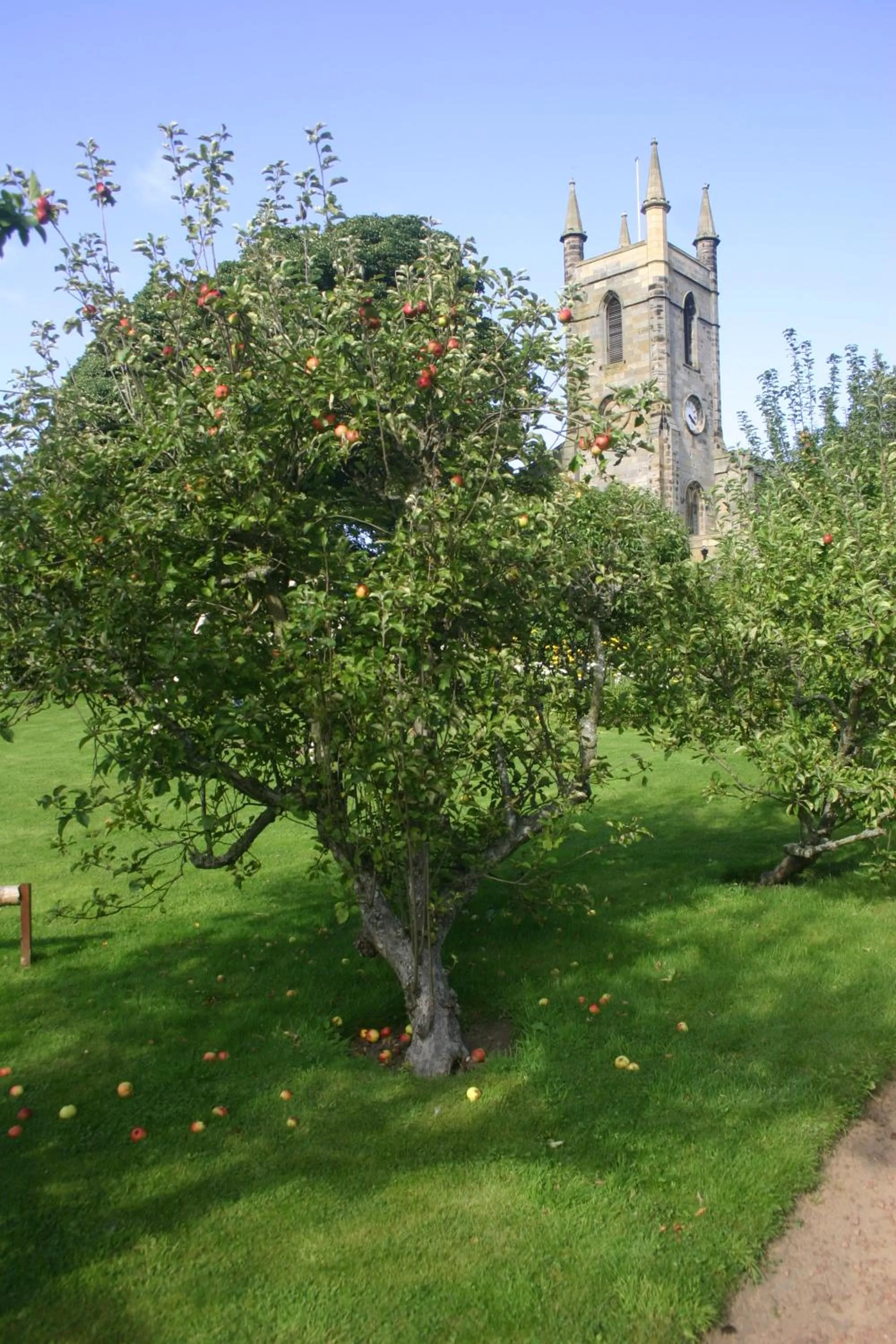 Garden in Blue Bell Hotel