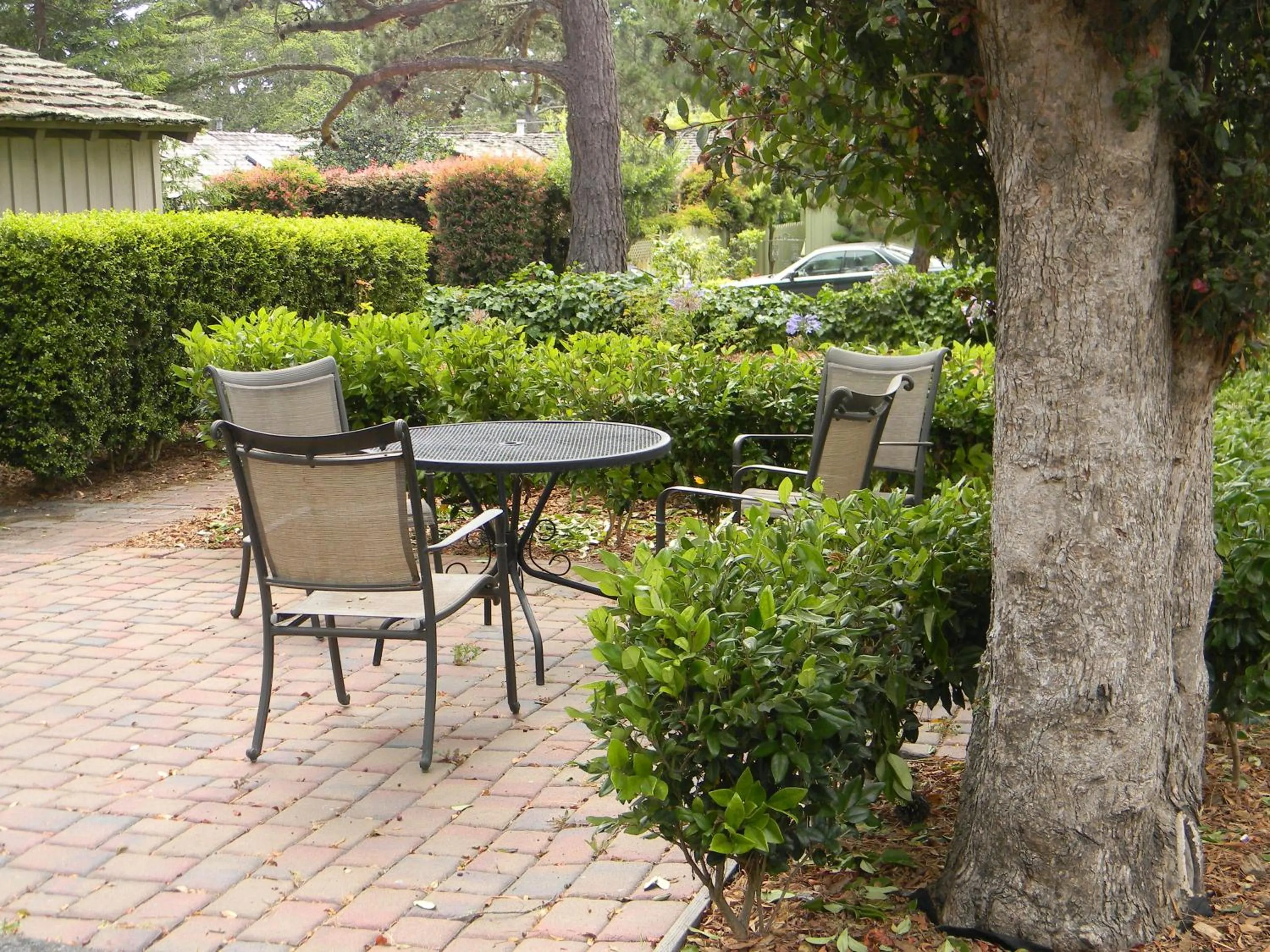 Activities in Carmel Resort Inn