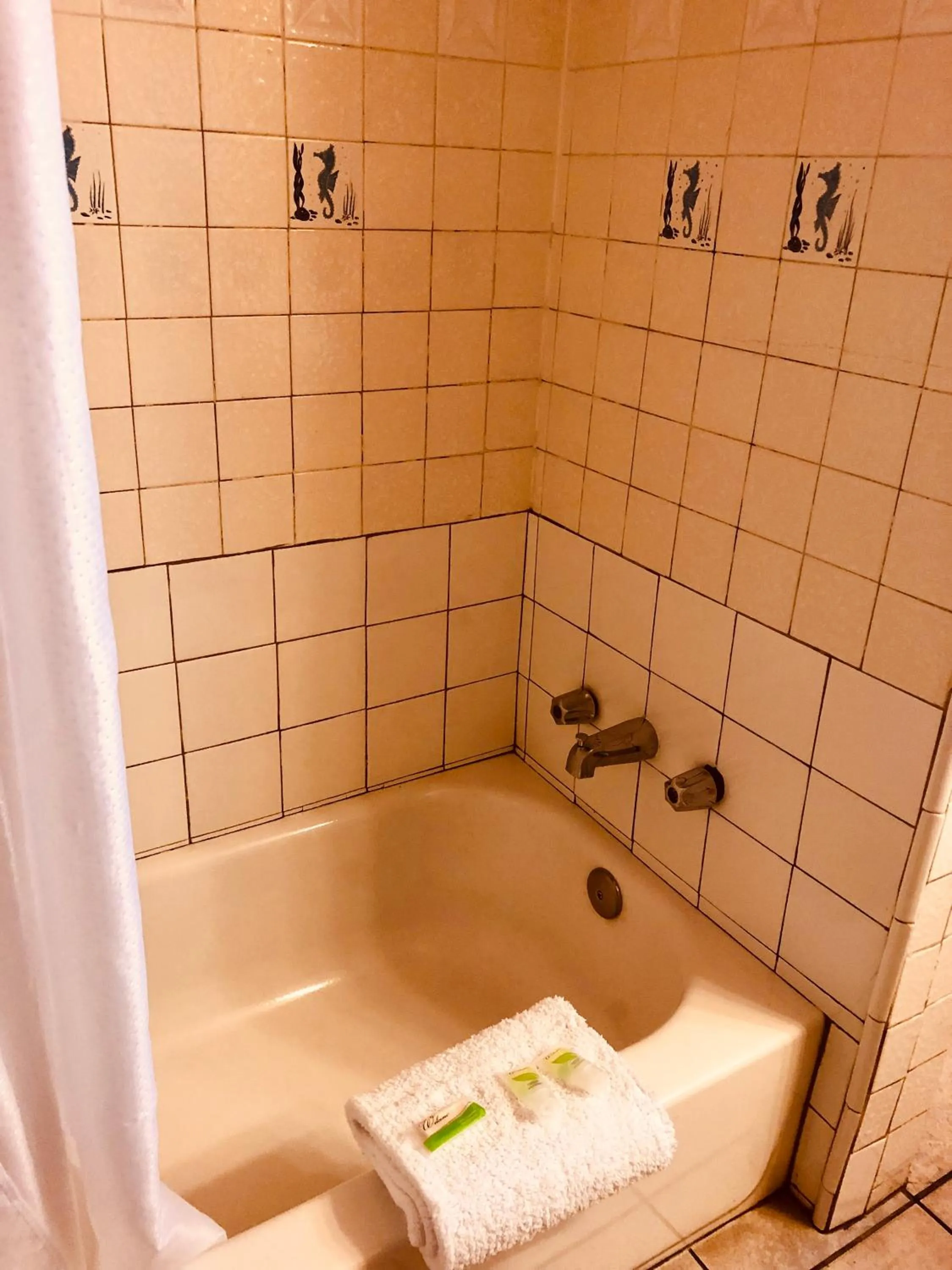 Bathroom in Carmel Resort Inn