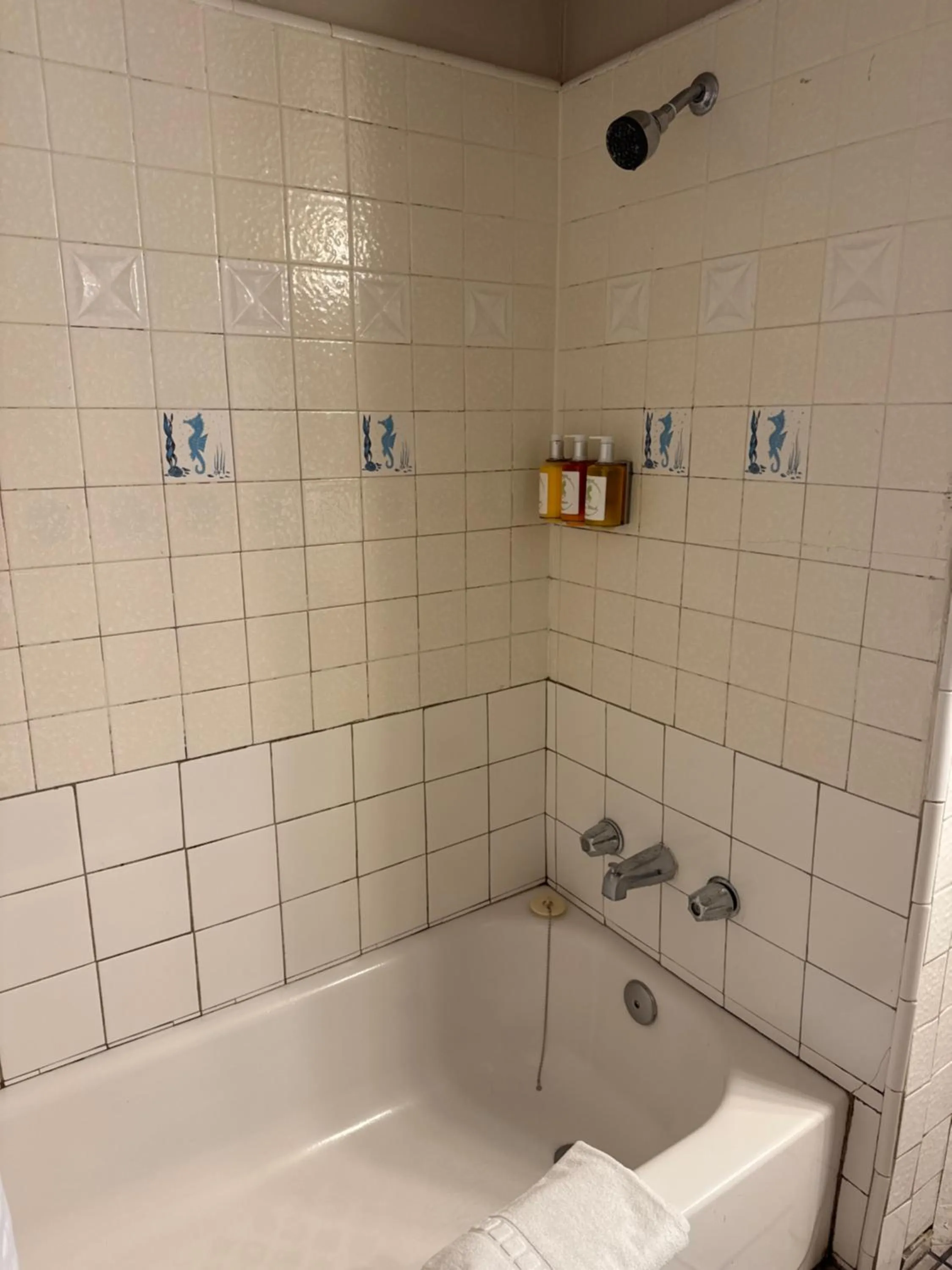 Bathroom in Carmel Resort Inn