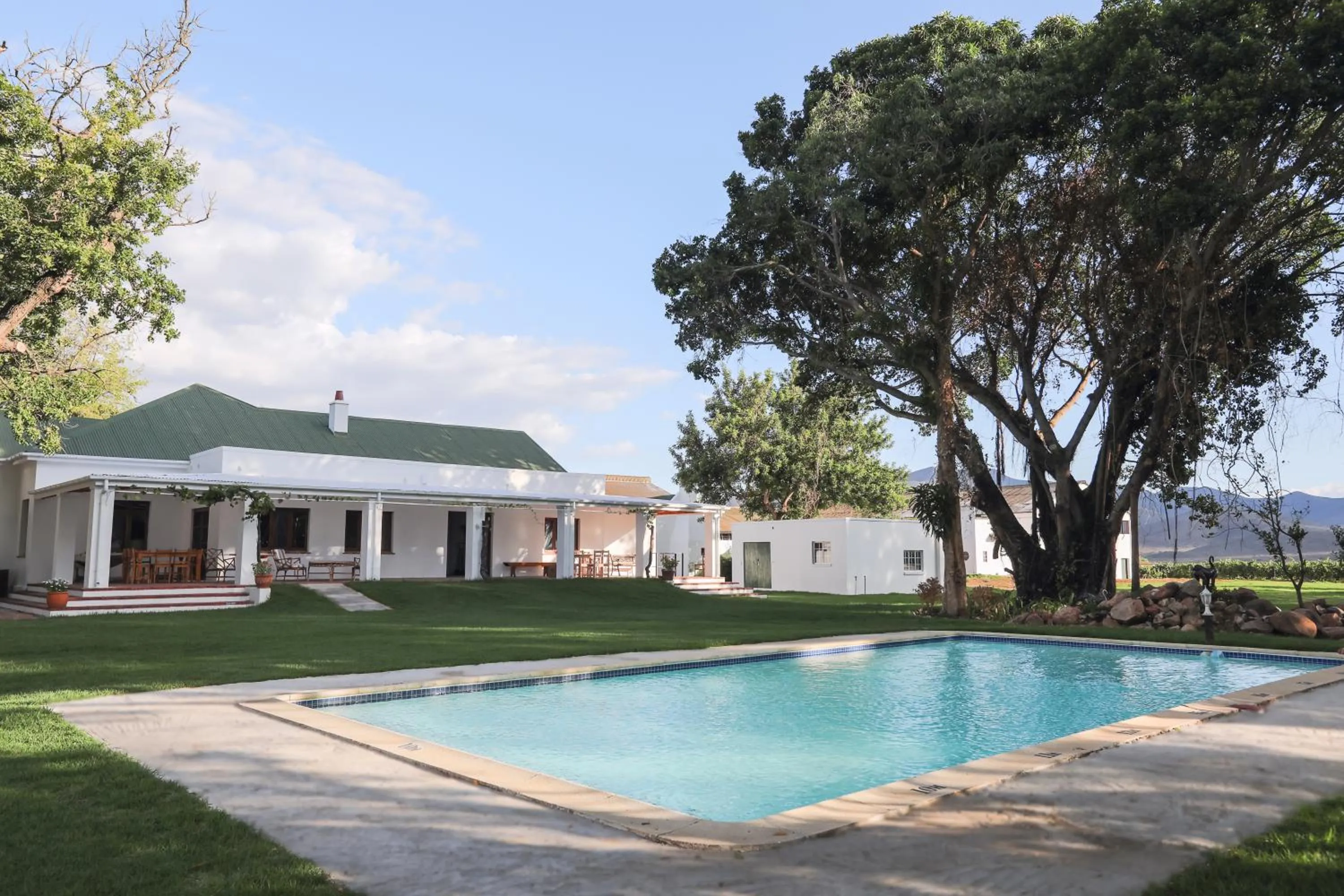 Pool view in Green Olive Guesthouse